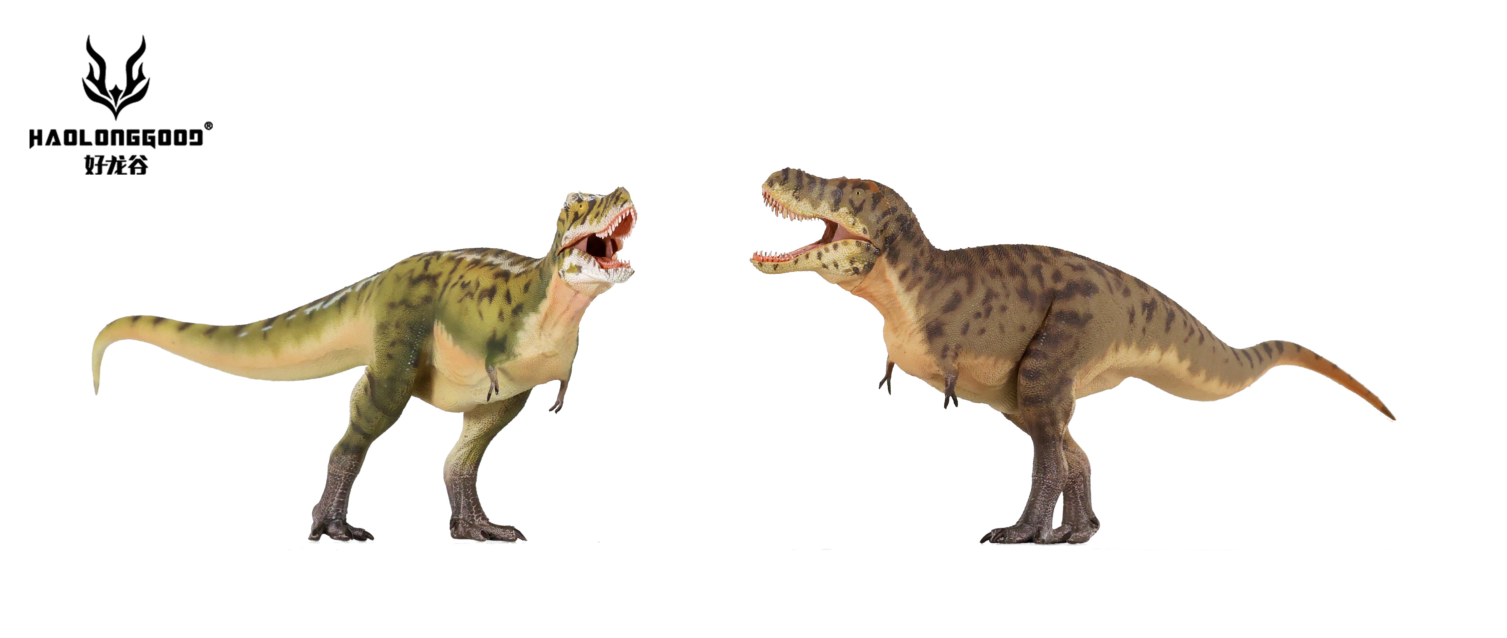 HAOLONGGOOD 1:35 Scale Tarbosaurus Model