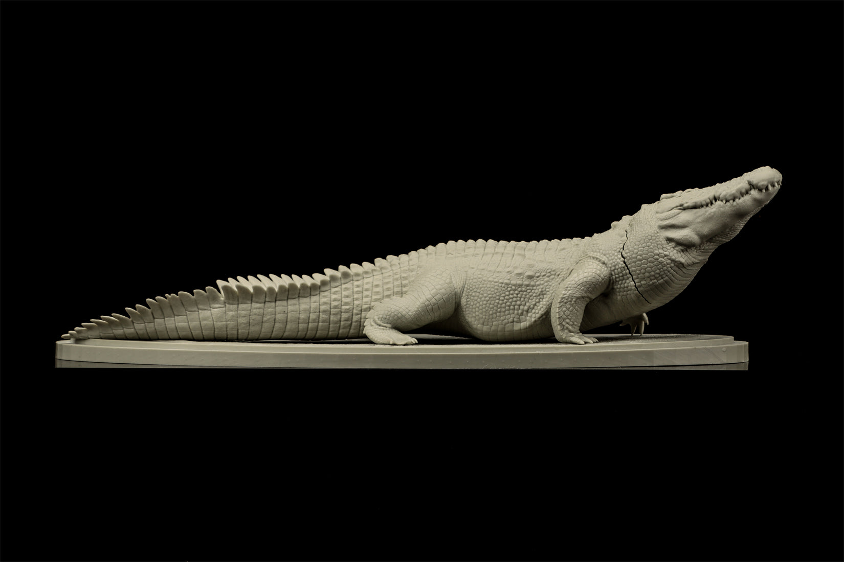 The Crocs Man Studio Crocodile Utan Model