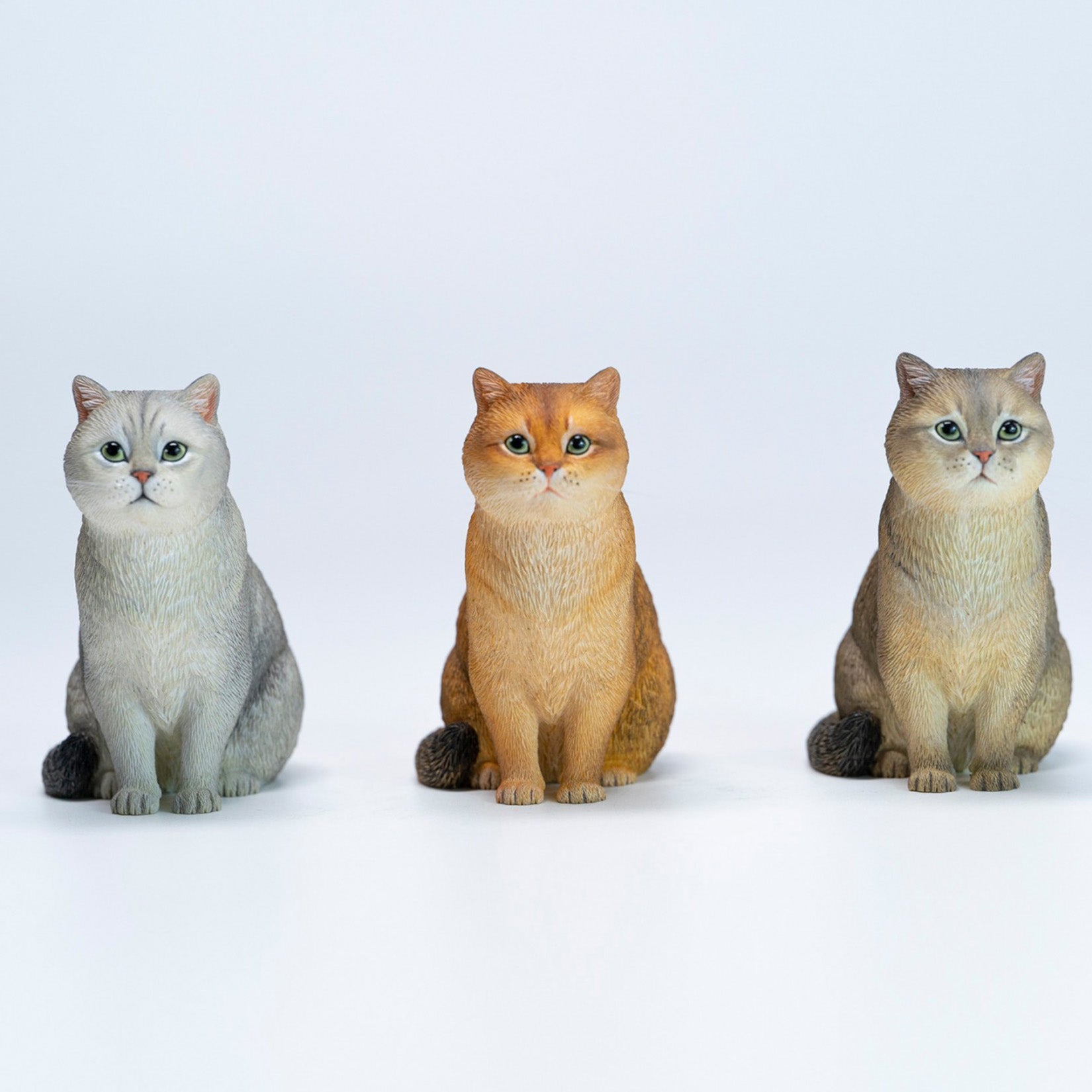 JXK Studio British Shorthair Cat Model