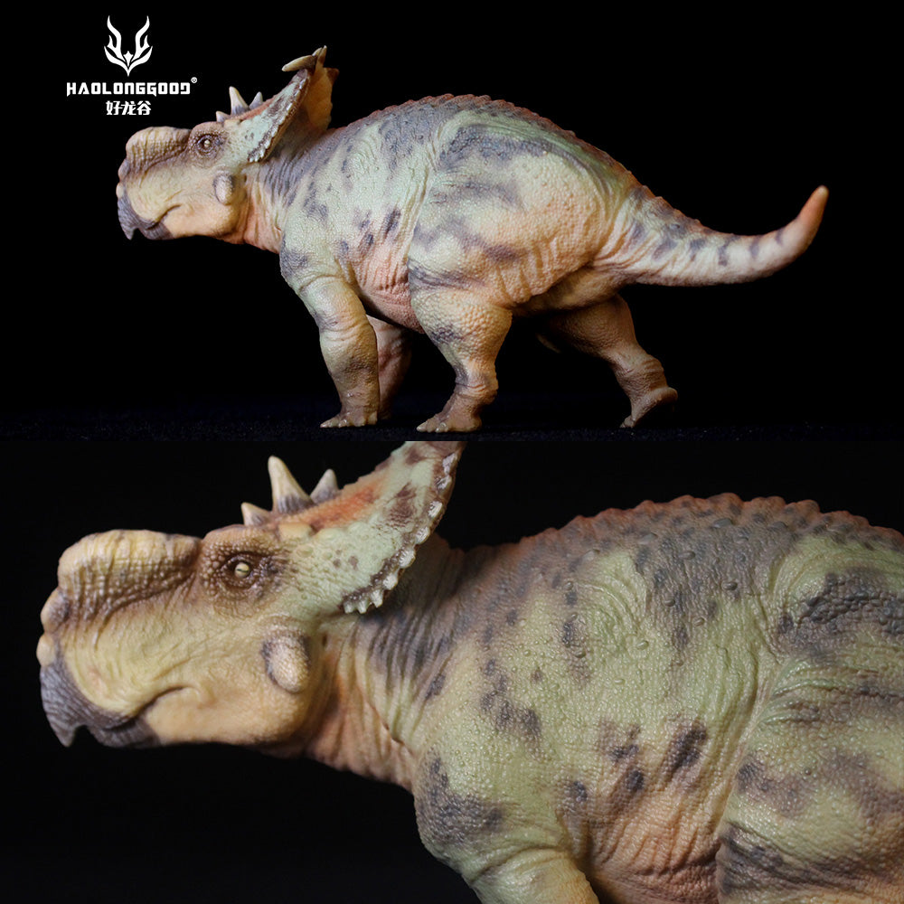 HAOLONGGOOD 1:35 Scale Pachyrhinosaurus Model