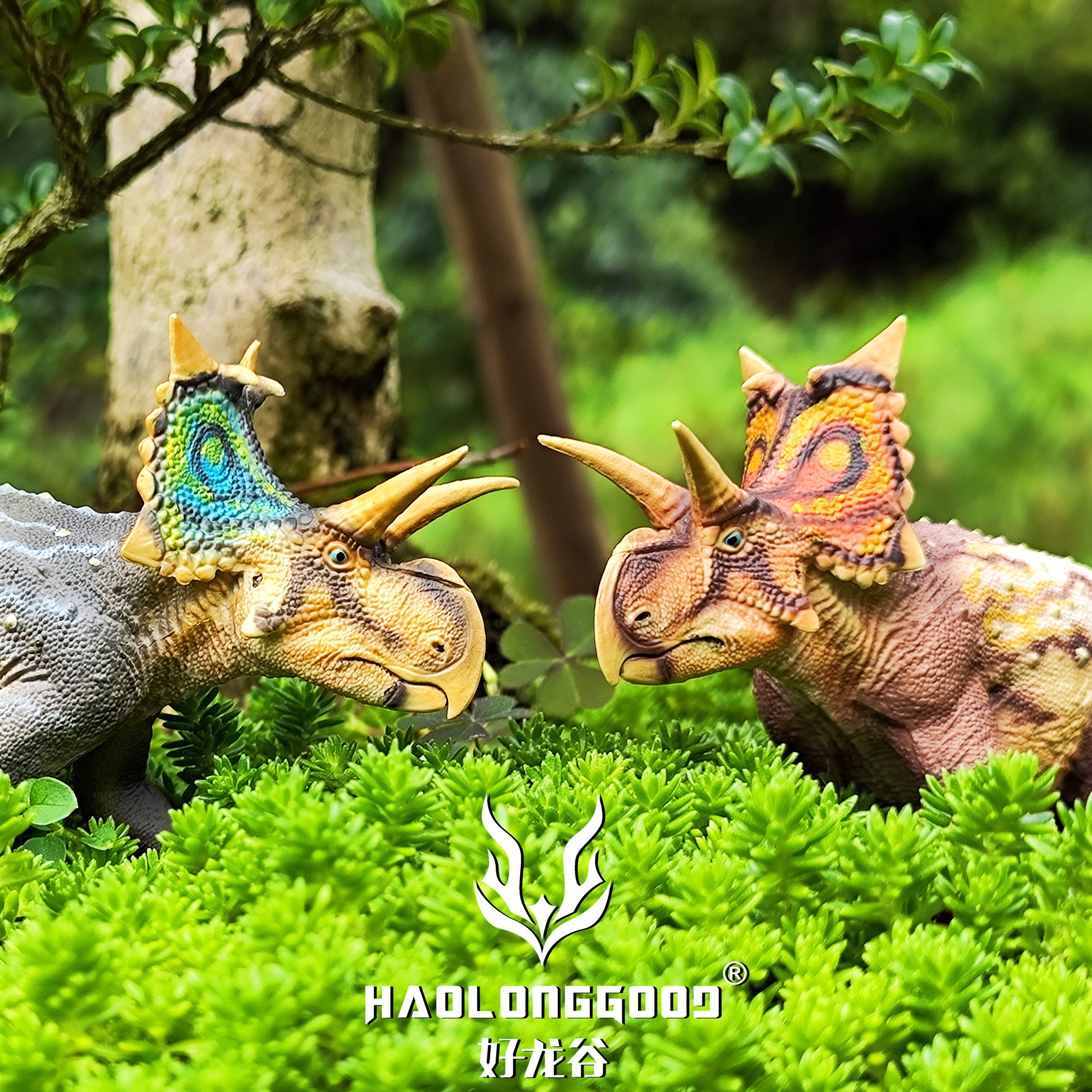 HAOLONGGOOD 1:35 Scale Xenoceratops Model