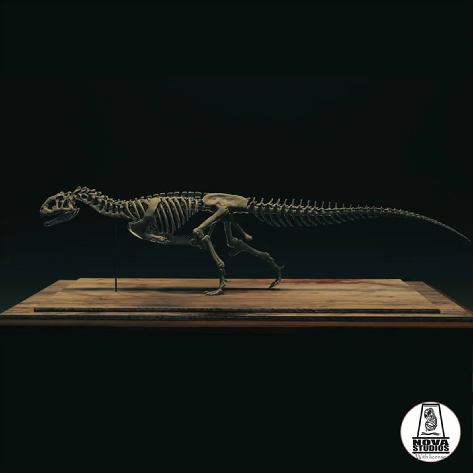 Nova Studio 1/6 Scale Majungasaurus crenatissimus keleton Model