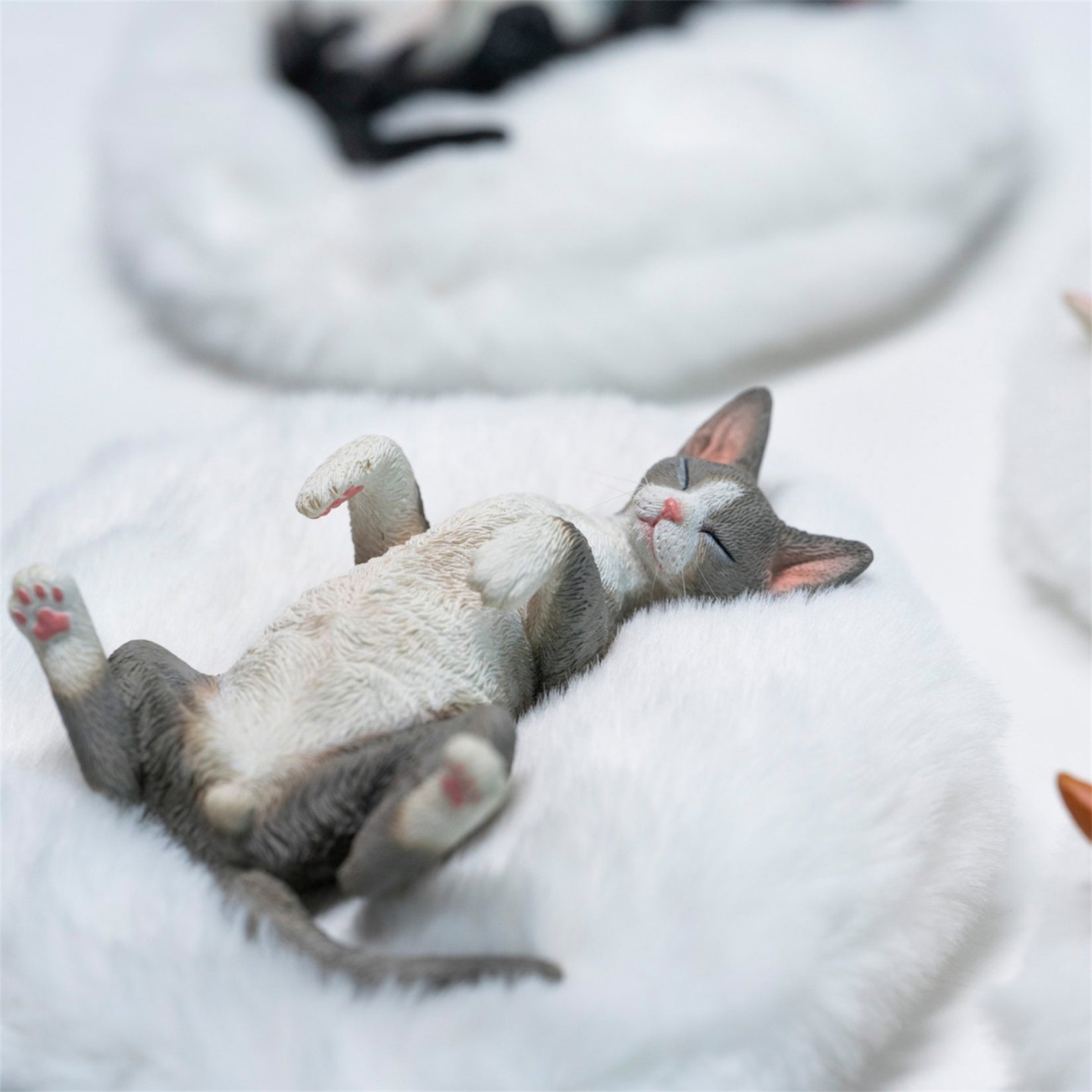 JXK Studio Resting Little Devon Rex Model