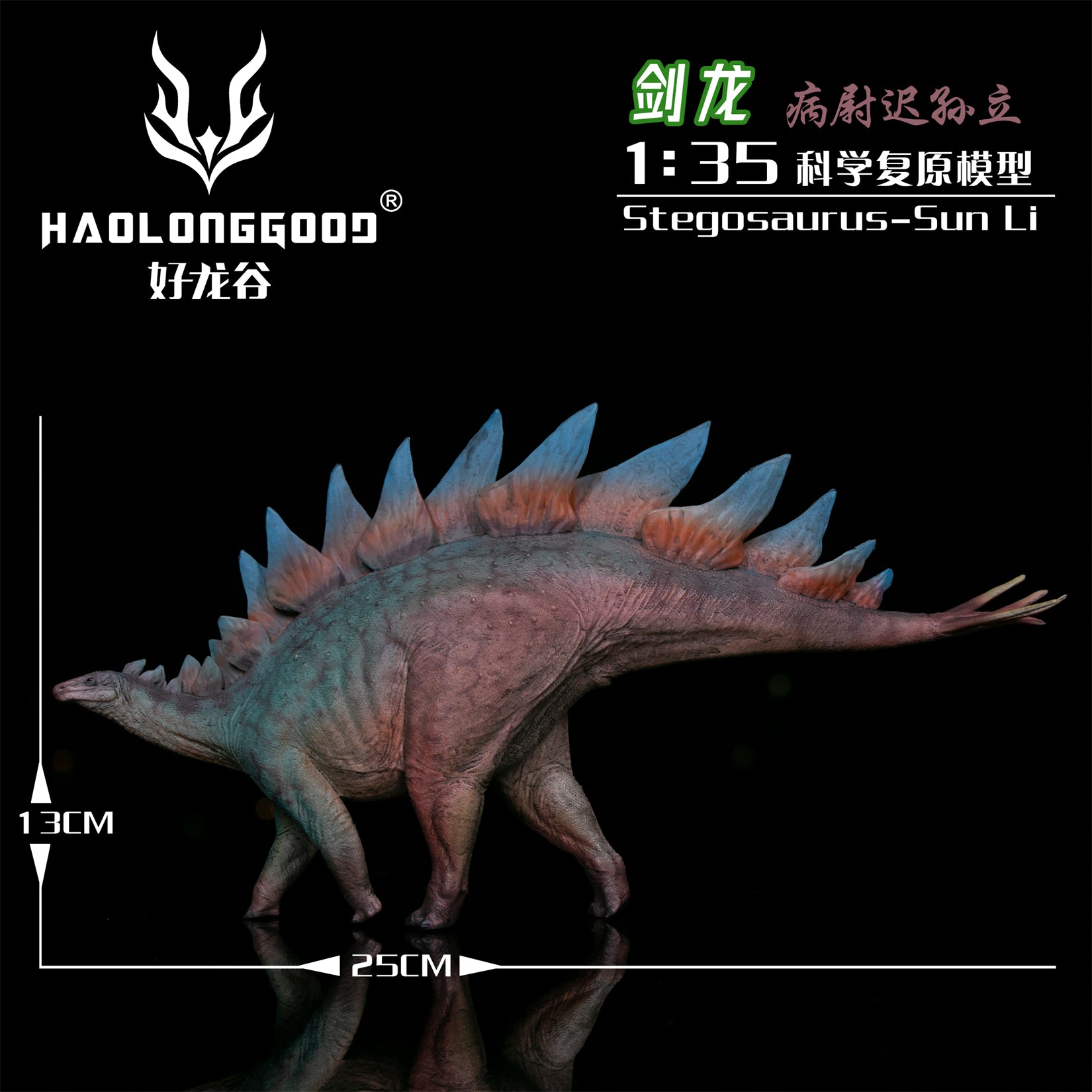 HAOLONGGOOD 1:35 Scale Stegosaurus Model