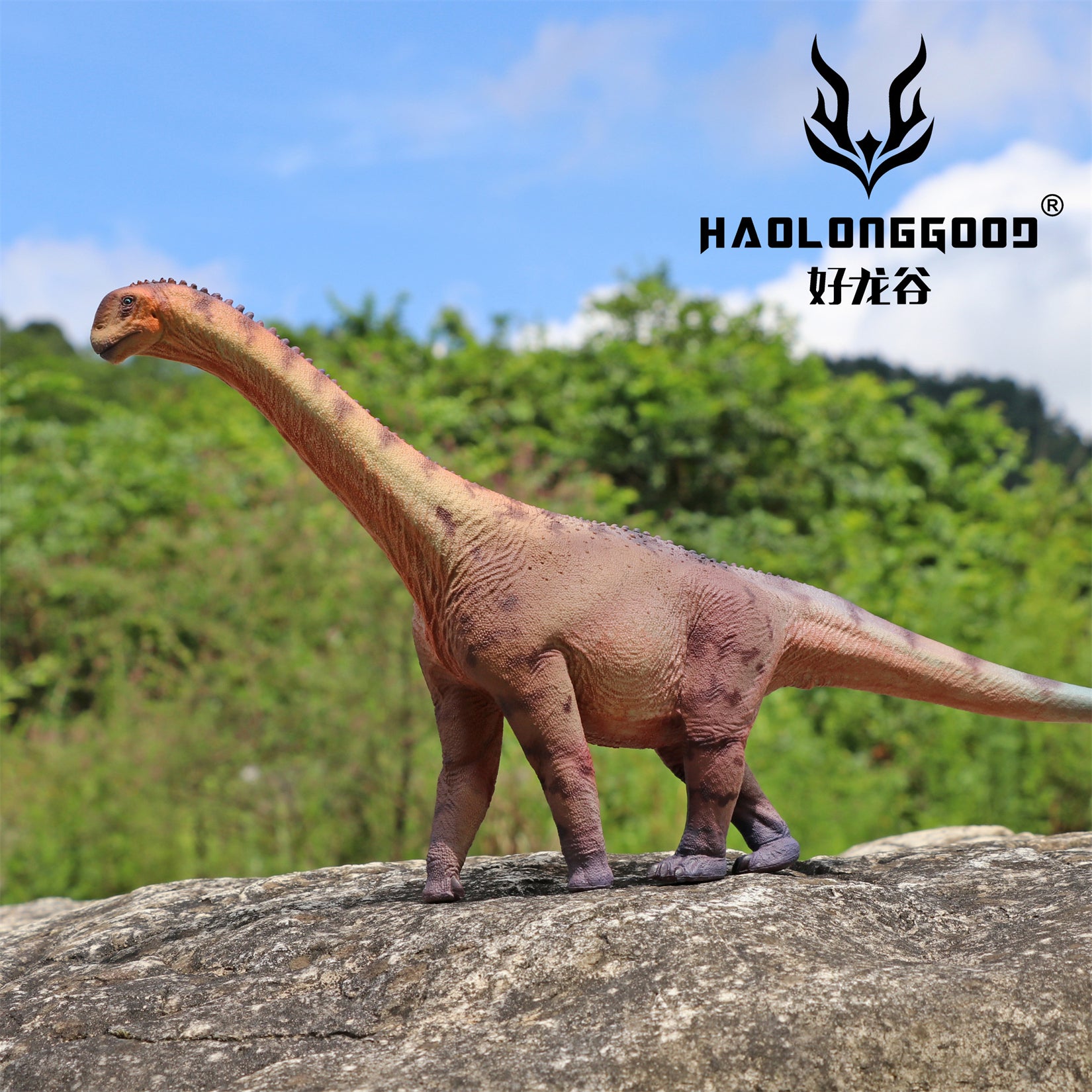 HAOLONGGOOD 1:35 Scale Camarasaurus Model