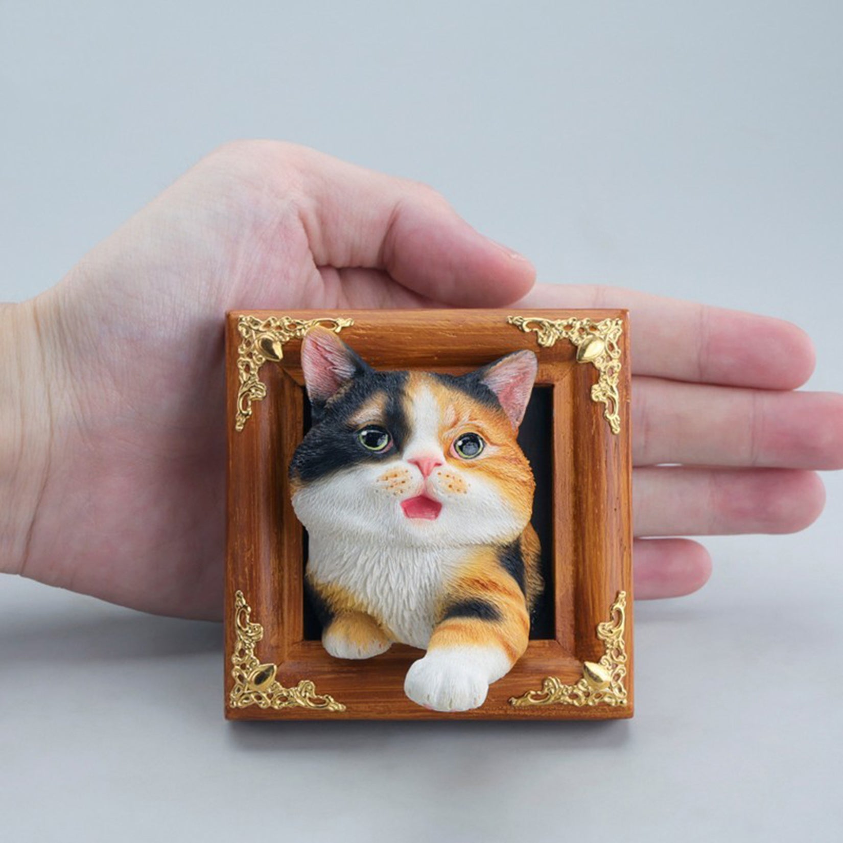JXK Studio Escaped Domestic Cat Model
