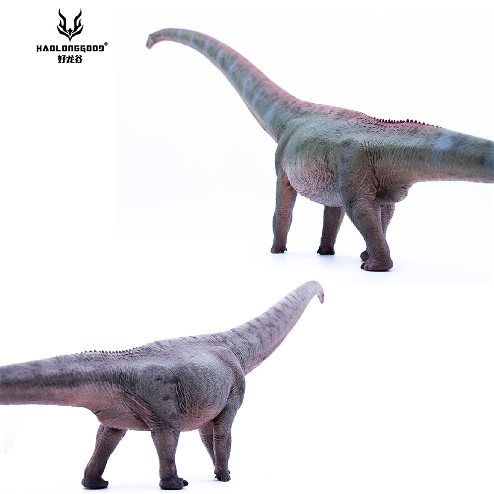 HAOLONGGOOD 1:35 Scale Mamenchisaurus Model