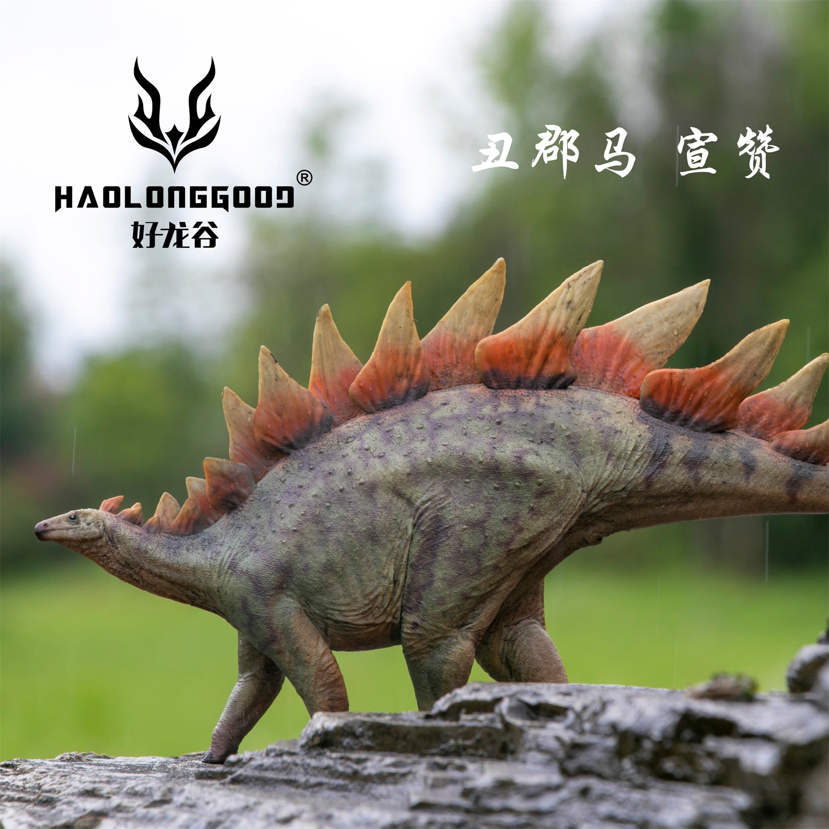 HAOLONGGOOD 1:35 Scale Stegosaurus Model