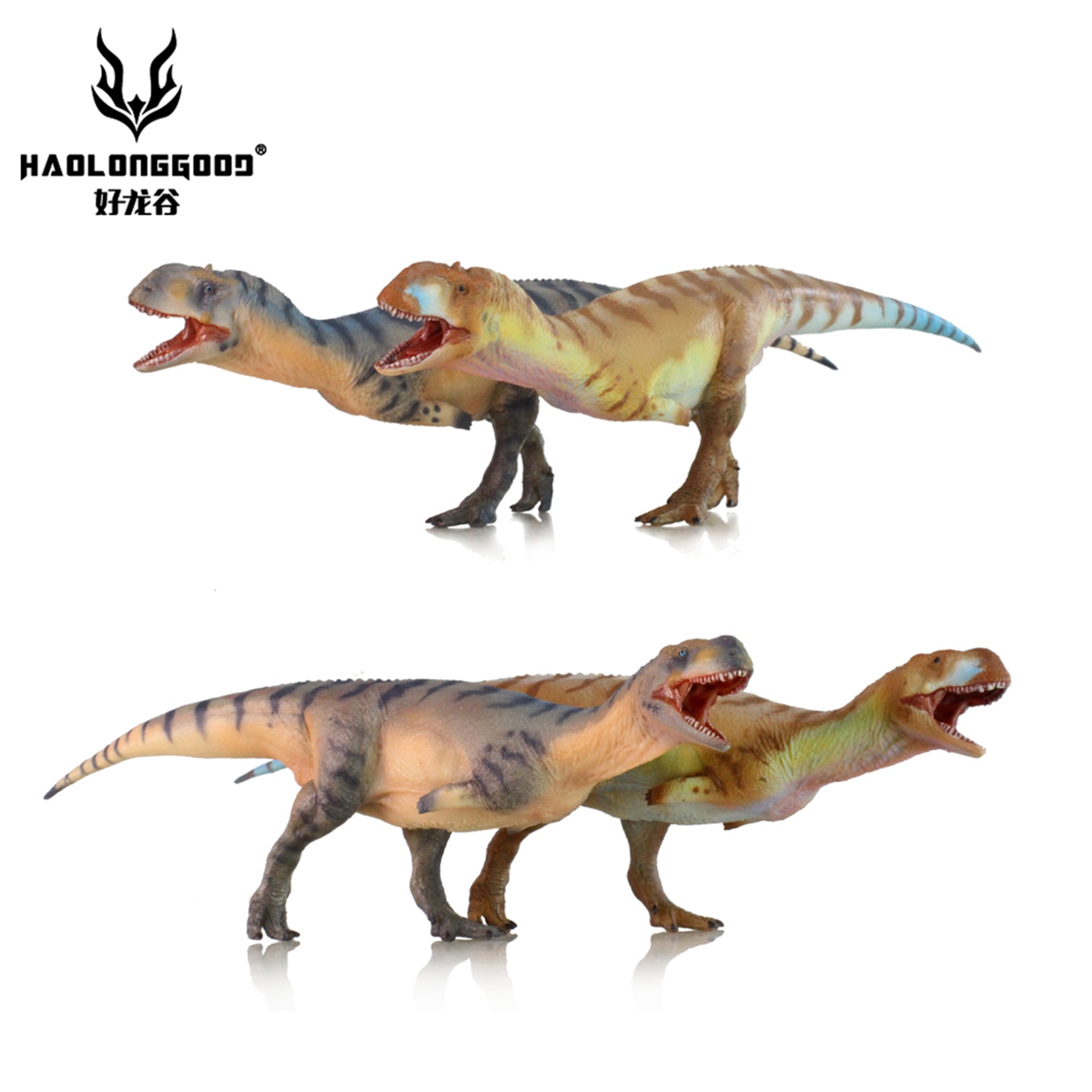 HAOLONGGOOD 1:35 Scale Majungasaurus Model