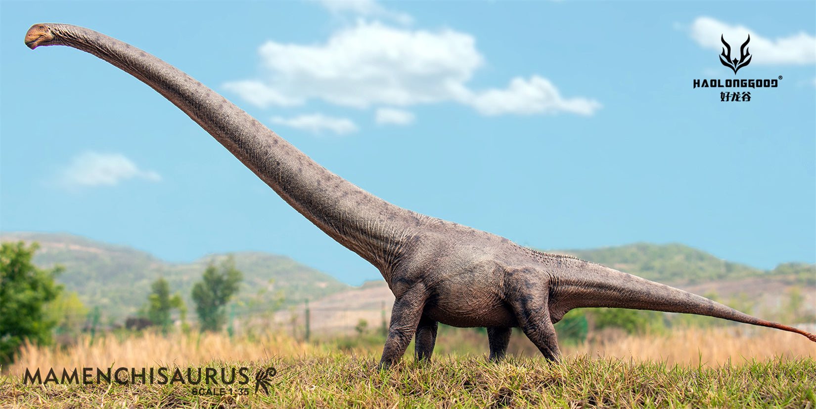 HAOLONGGOOD 1:35 Scale Mamenchisaurus Model