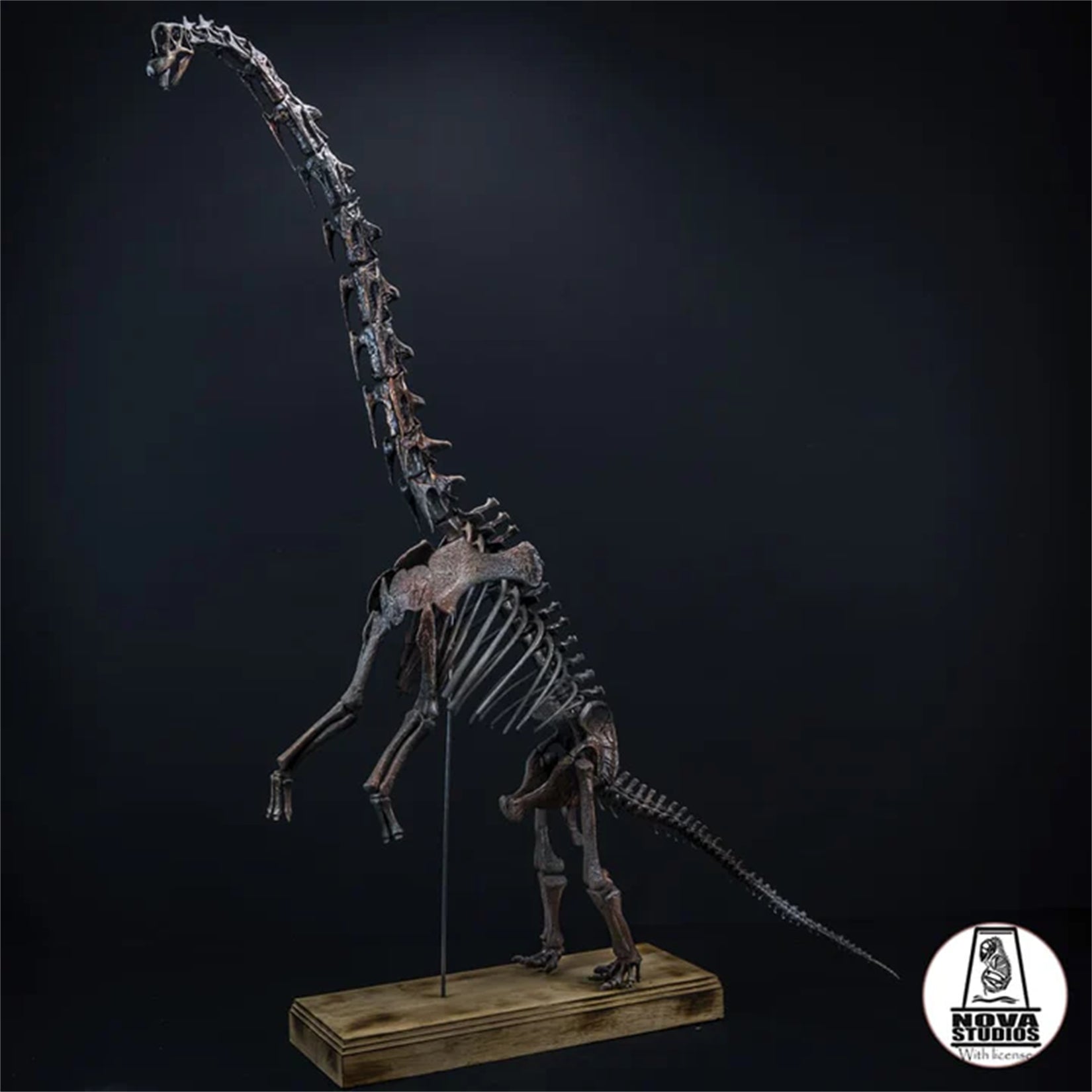Nova Studio 1/18 Scale Giraffatitan brancai Keleton Model