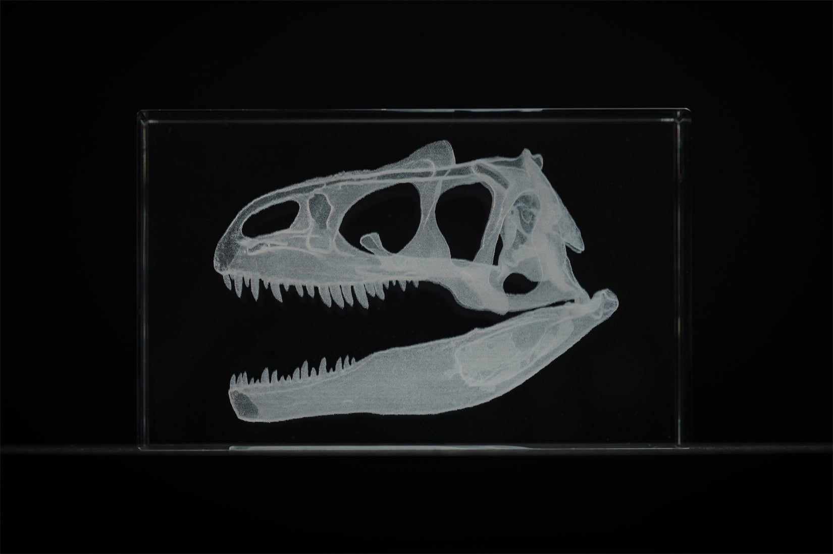 Cerastes Cornutus Schlangenmodell