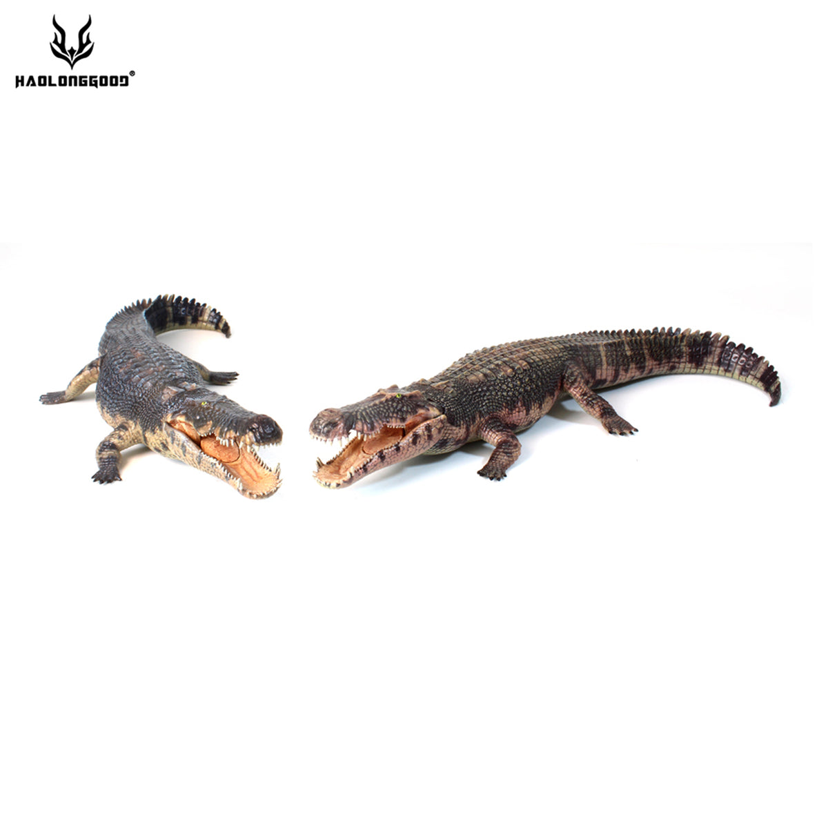 Modèle réduit de Giganotosaurus HAOLONGGOOD à l'échelle 1:35