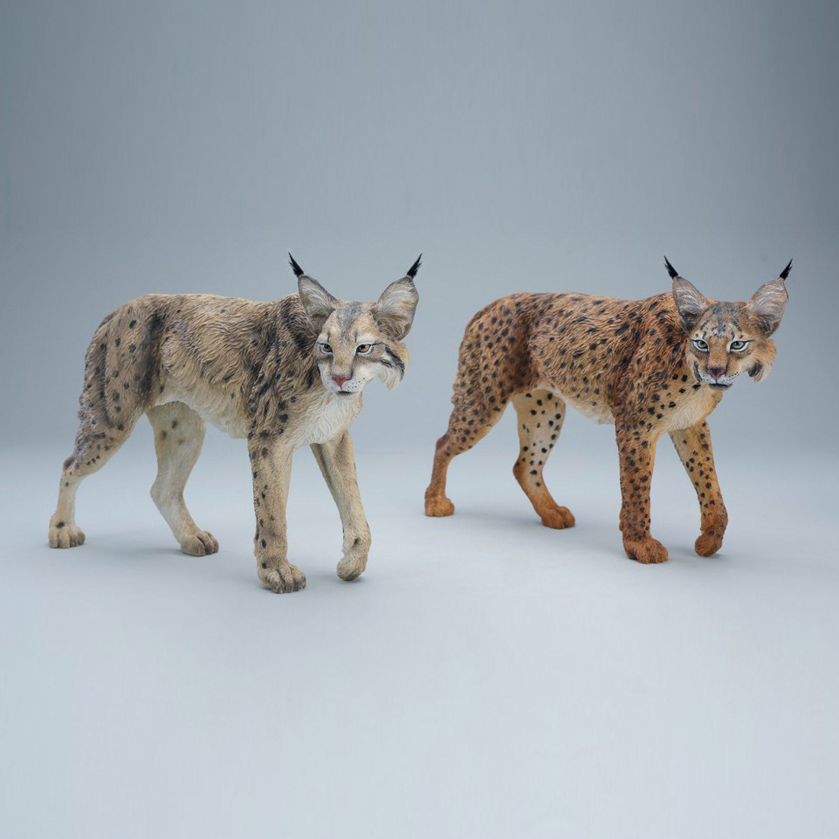JXK Studio Lynx Model