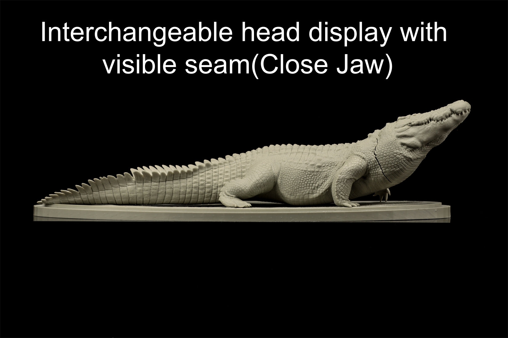 The Crocs Man Studio Crocodile Utan Model