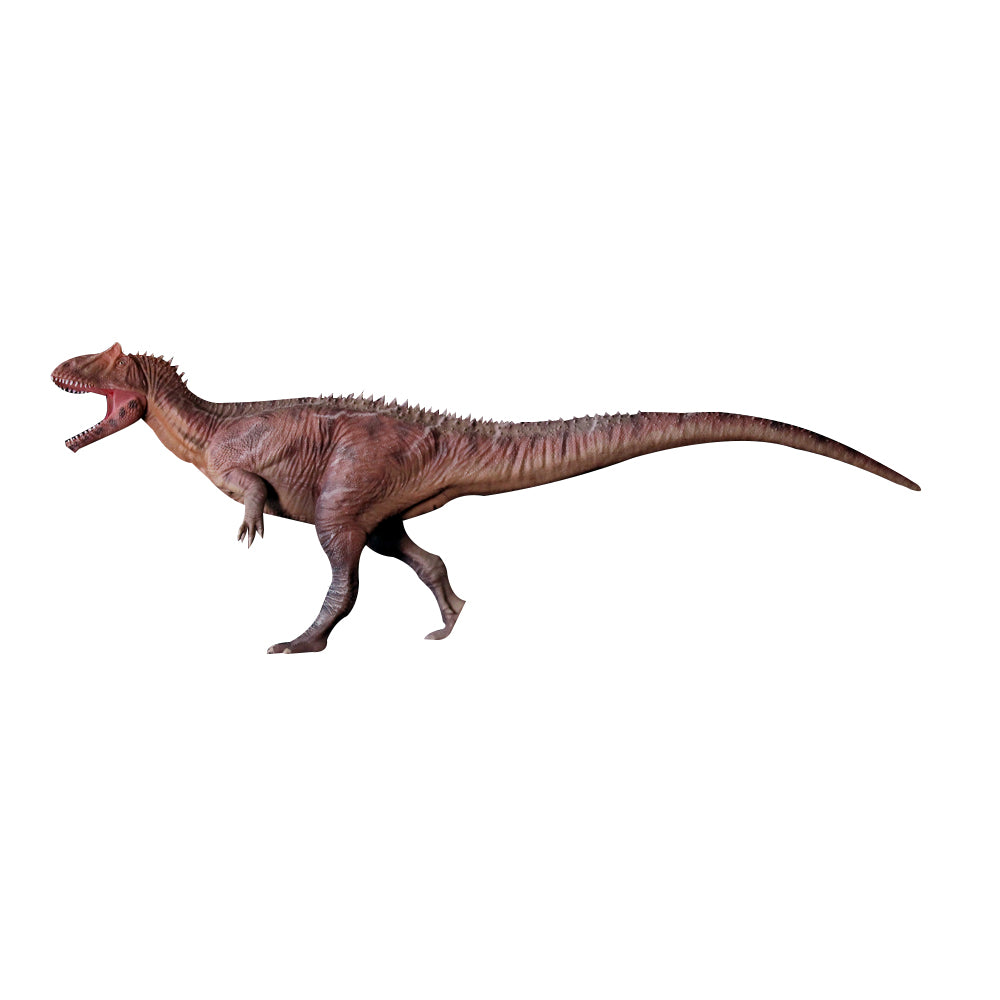 HAOLONGGOOD 1:35 Scale Allosaurus Model