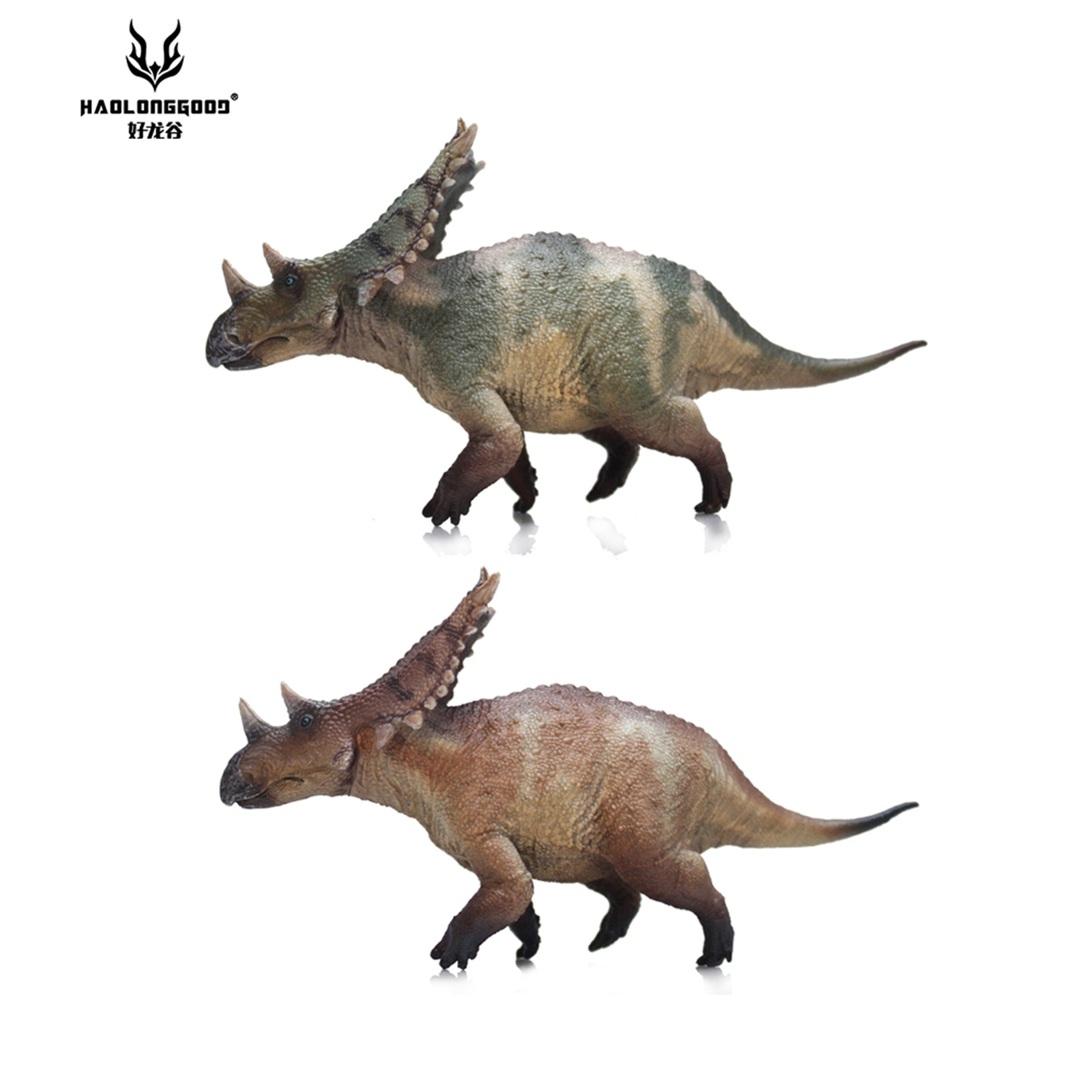 HAOLONGGOOD 1:35 Scale Chasmosaurus Model