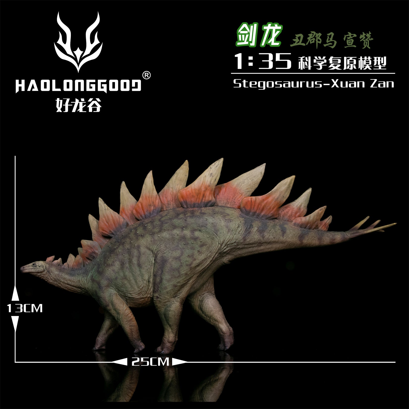 HAOLONGGOOD 1:35 Scale Stegosaurus Model