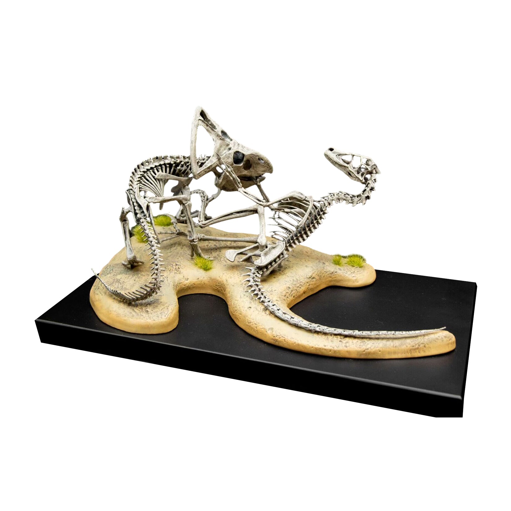 VWUVWU Protoceratops VS Velociraptor Skeleton Model