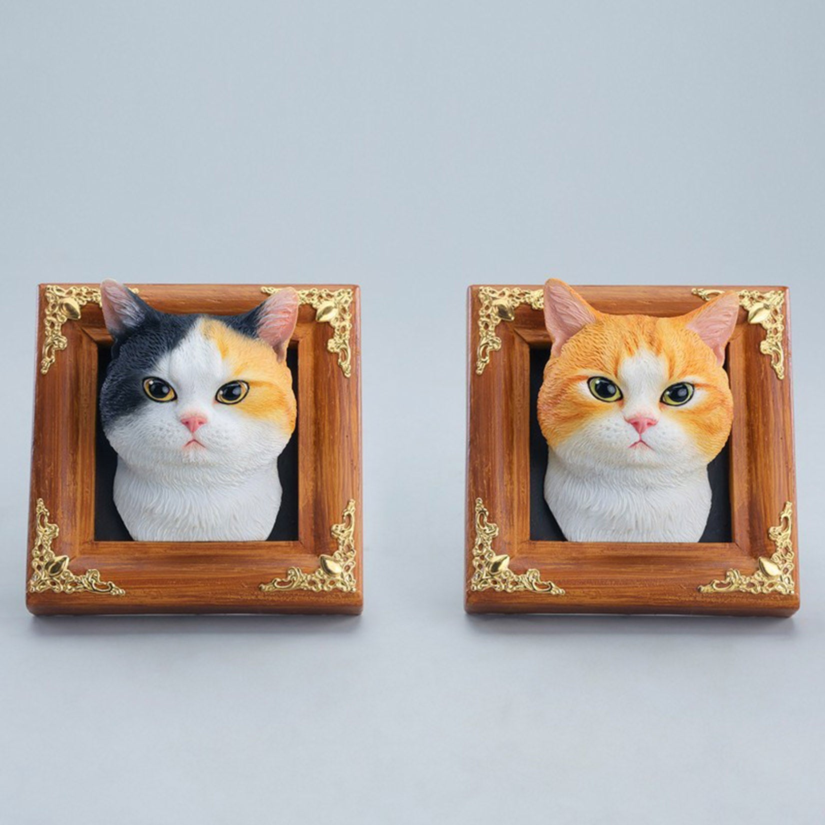 JXK Studio Gentle-eyed Country Cat Model