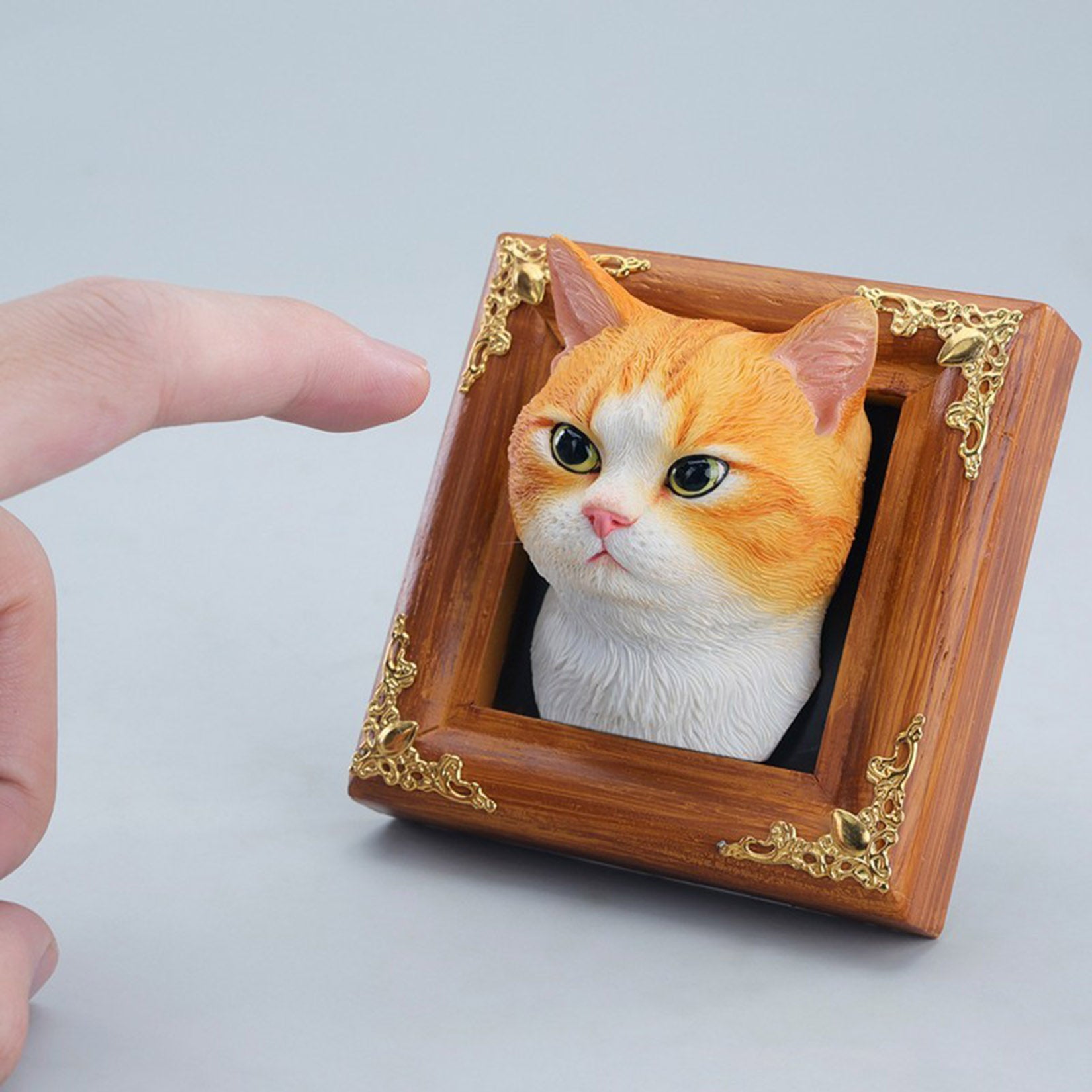 JXK Studio Gentle-eyed Country Cat Model