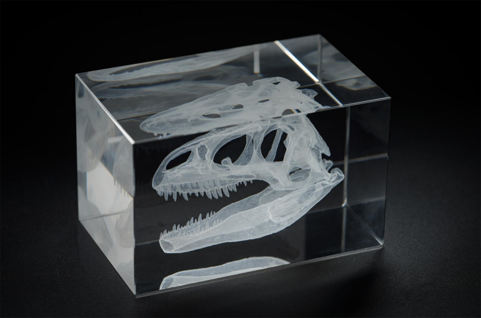 Cerastes Cornutus Schlangenmodell