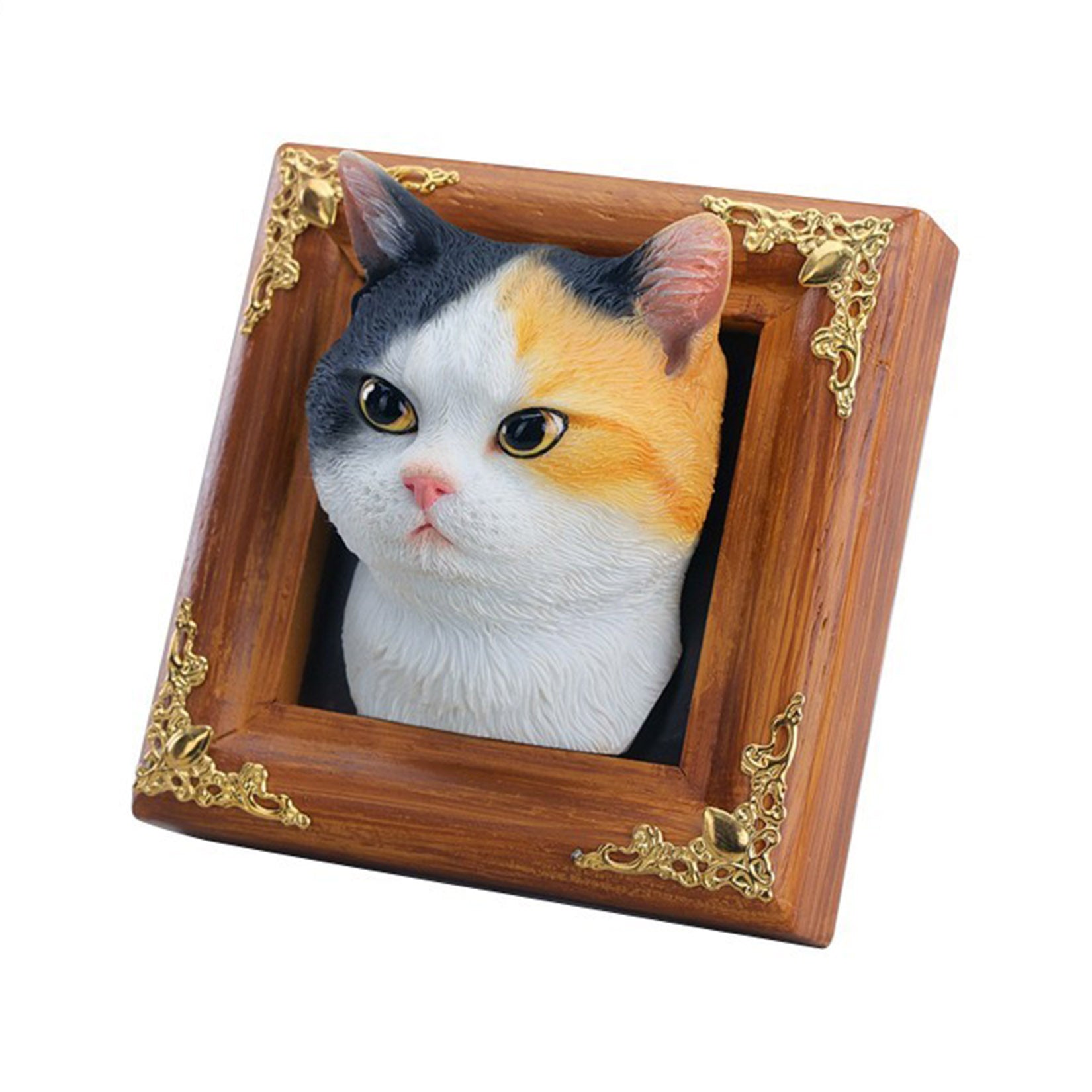 JXK Studio Gentle-eyed Country Cat Model