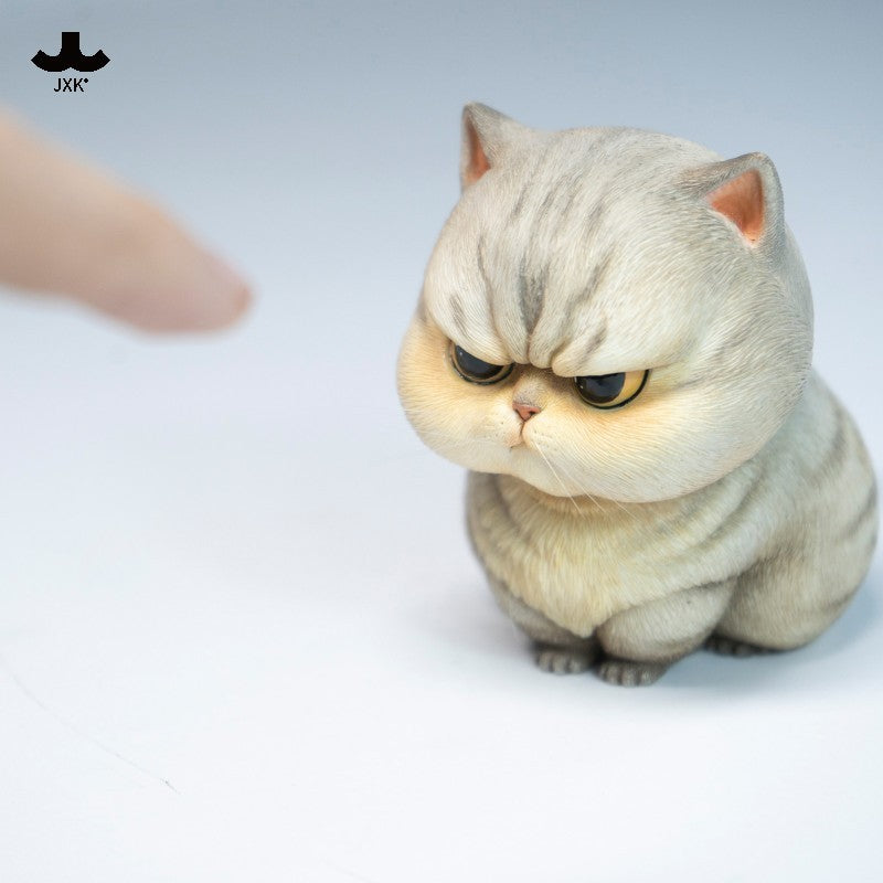 JXK Chirp Cats Model