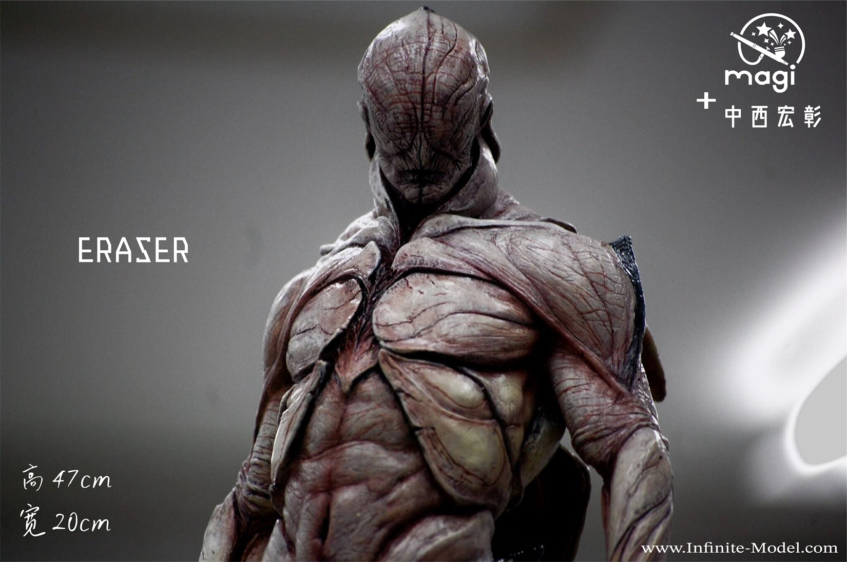 Infinite Model Eraser Figure