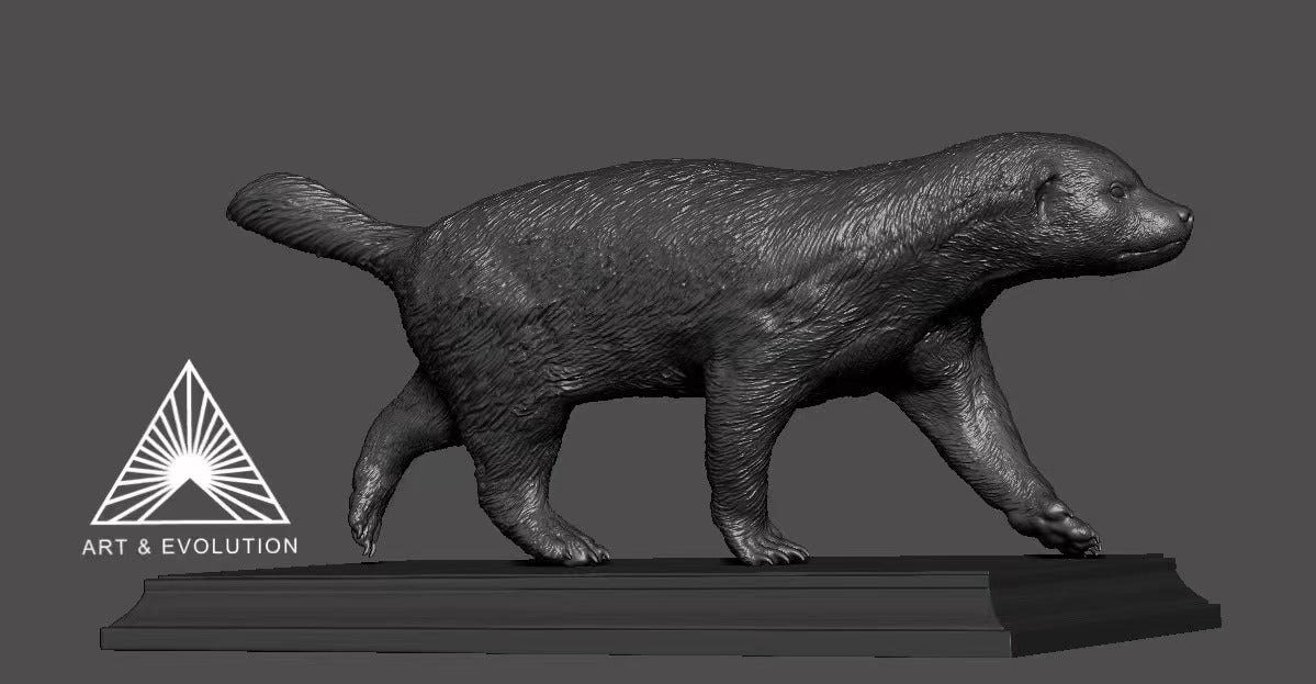 Art&Evolution Studio Honey Badger Animal Model