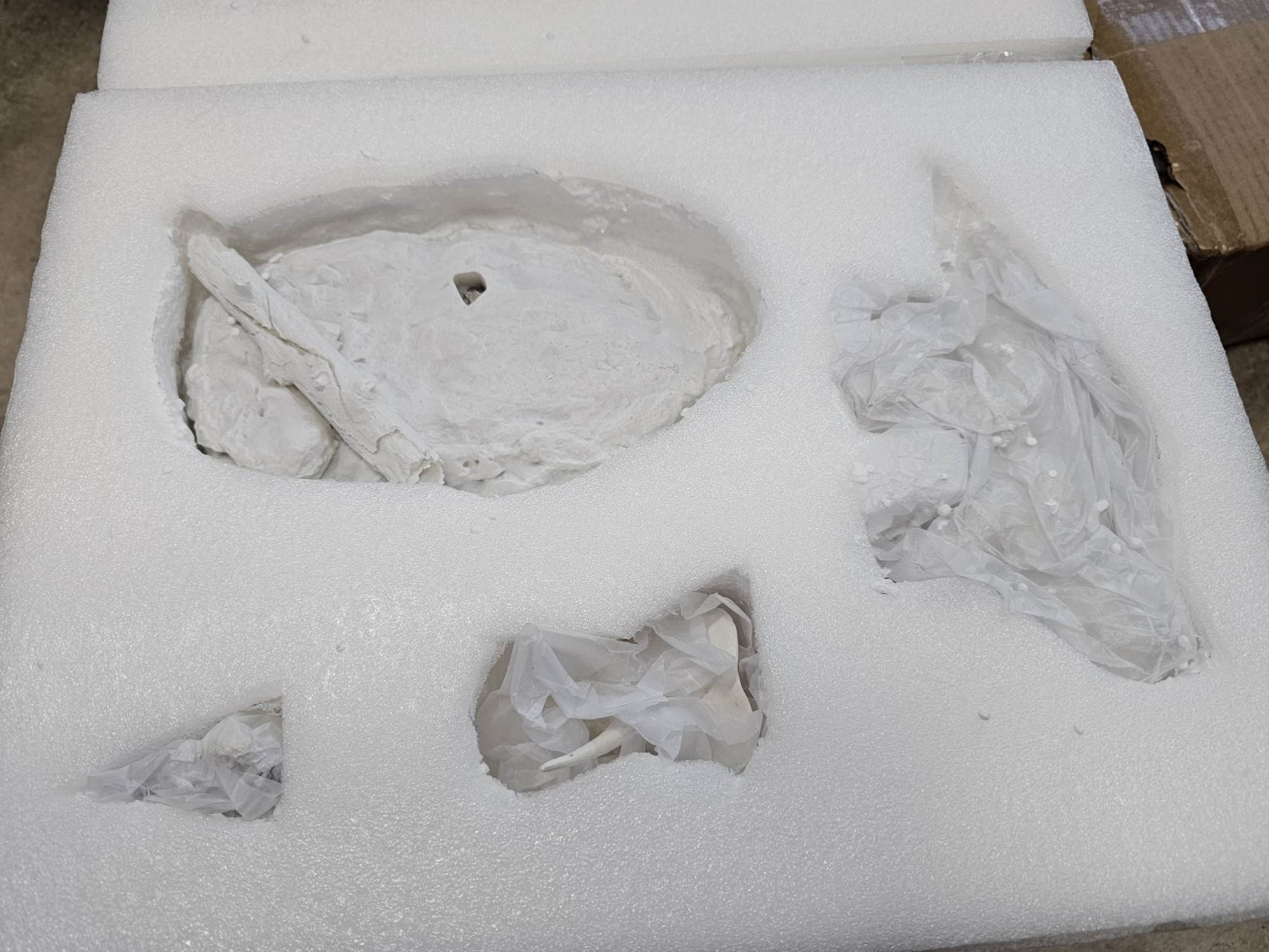 1/35 Scale Triceratops Statue