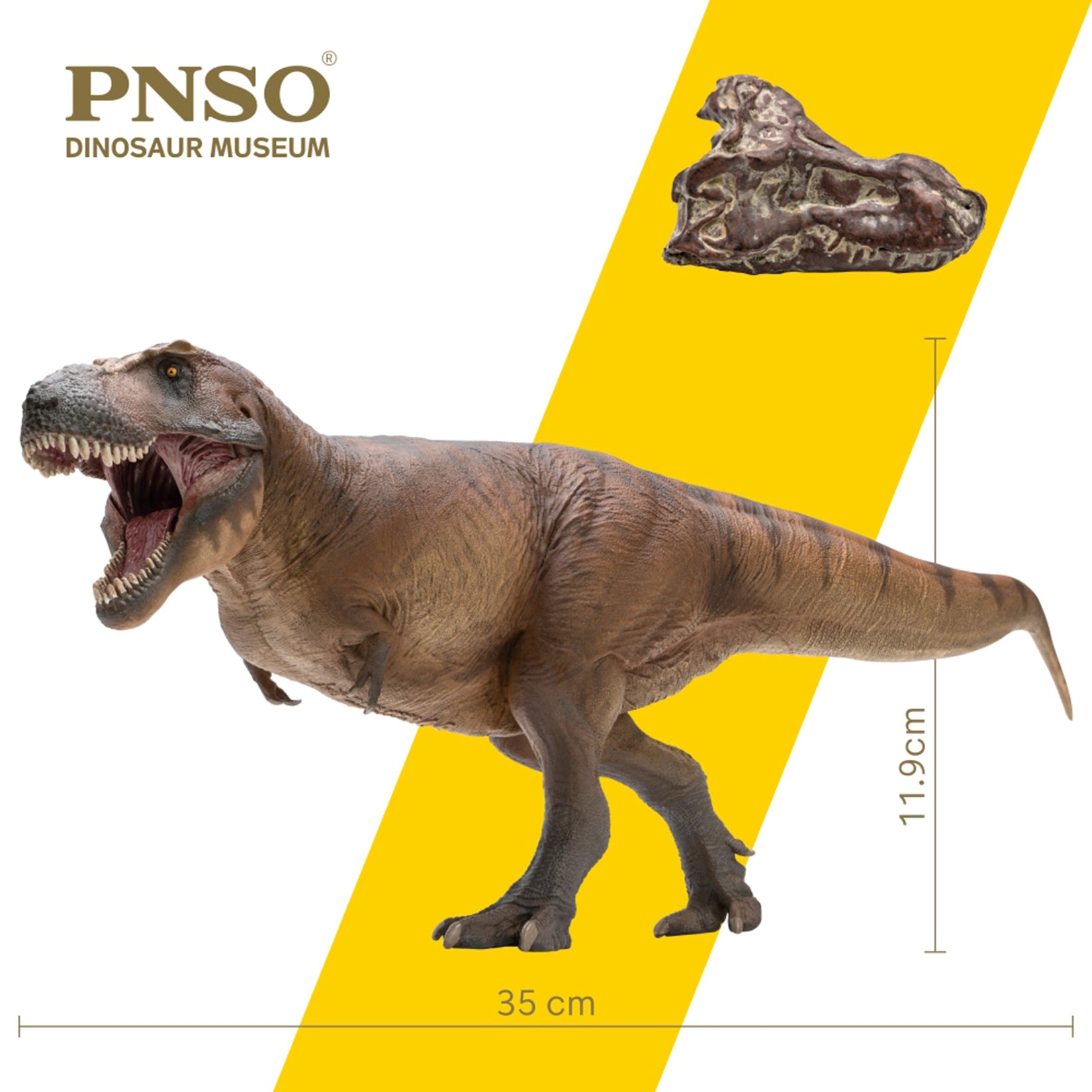 PNSO 18 Cameron The Tyrannosaurus Rex 1:35 Scale Scietific Art Model