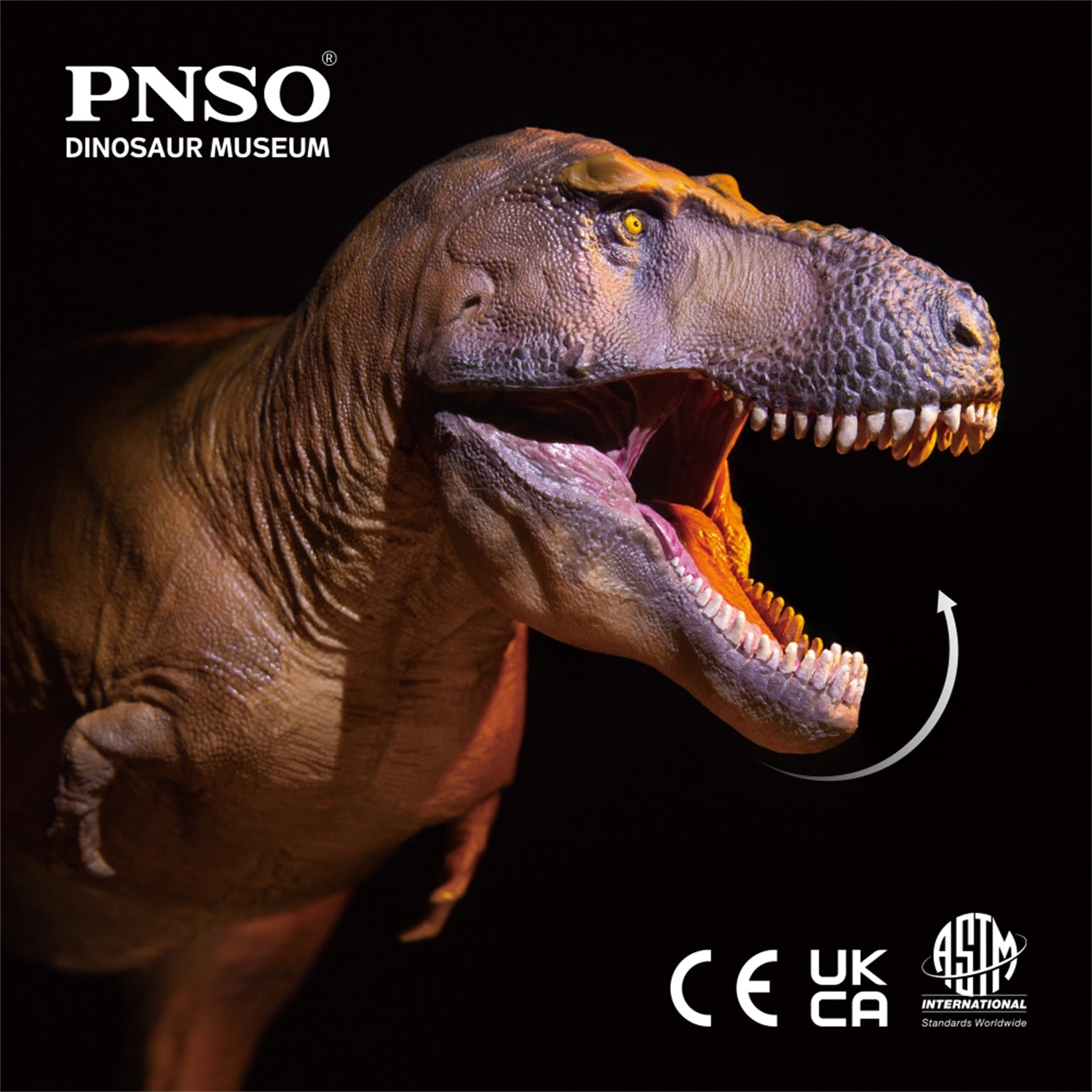 PNSO 18 Cameron The Tyrannosaurus Rex 1:35 Scale Scietific Art Model