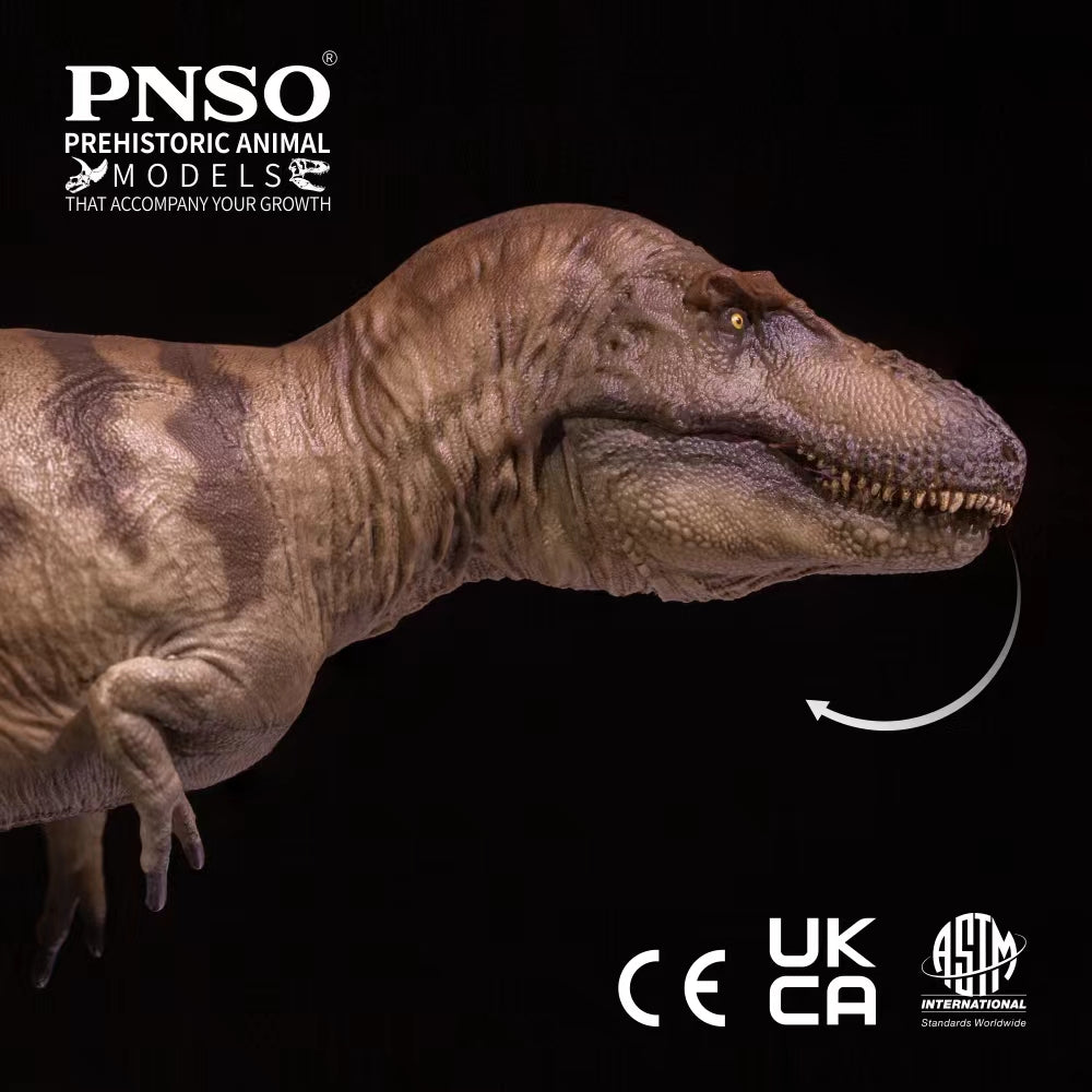PNSO Daspletosaurus Cole Model