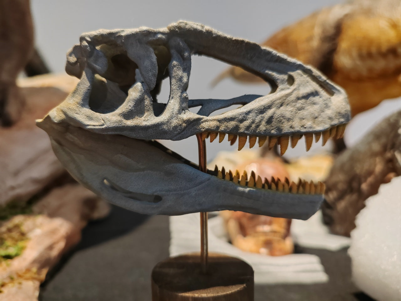 Greenhouse Revolution Studio Carcharodontosaurus Scene Model