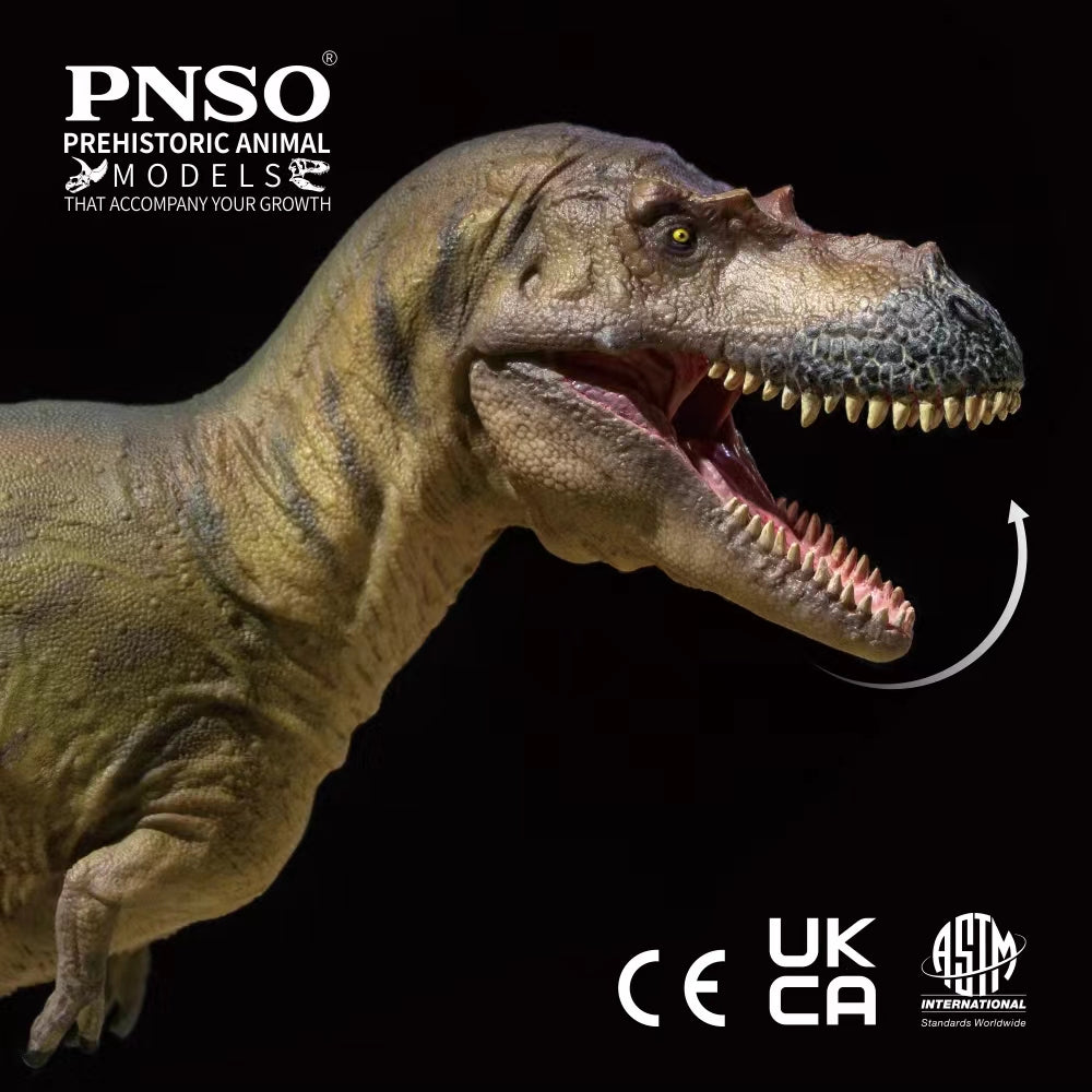 PNSO Albertosaurus Wally Model