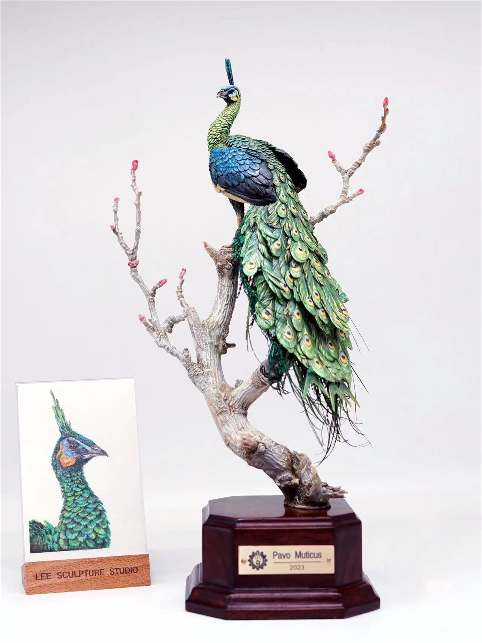 Lee 1/10 Scale Green Peafowl Scene Model