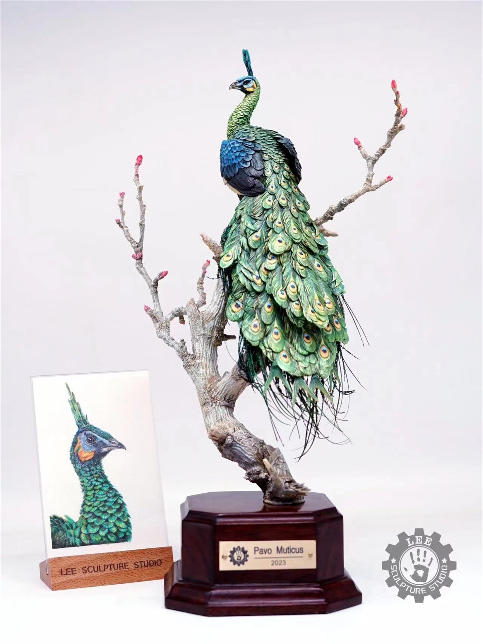 Lee 1/10 Scale Green Peafowl Scene Model