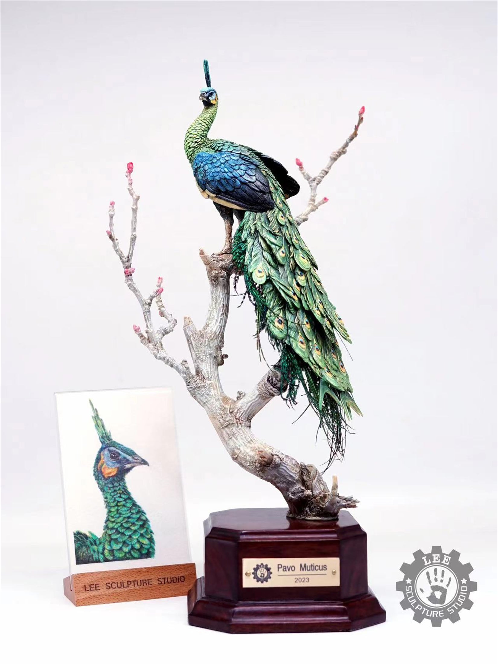 Lee 1/10 Scale Green Peafowl Scene Model