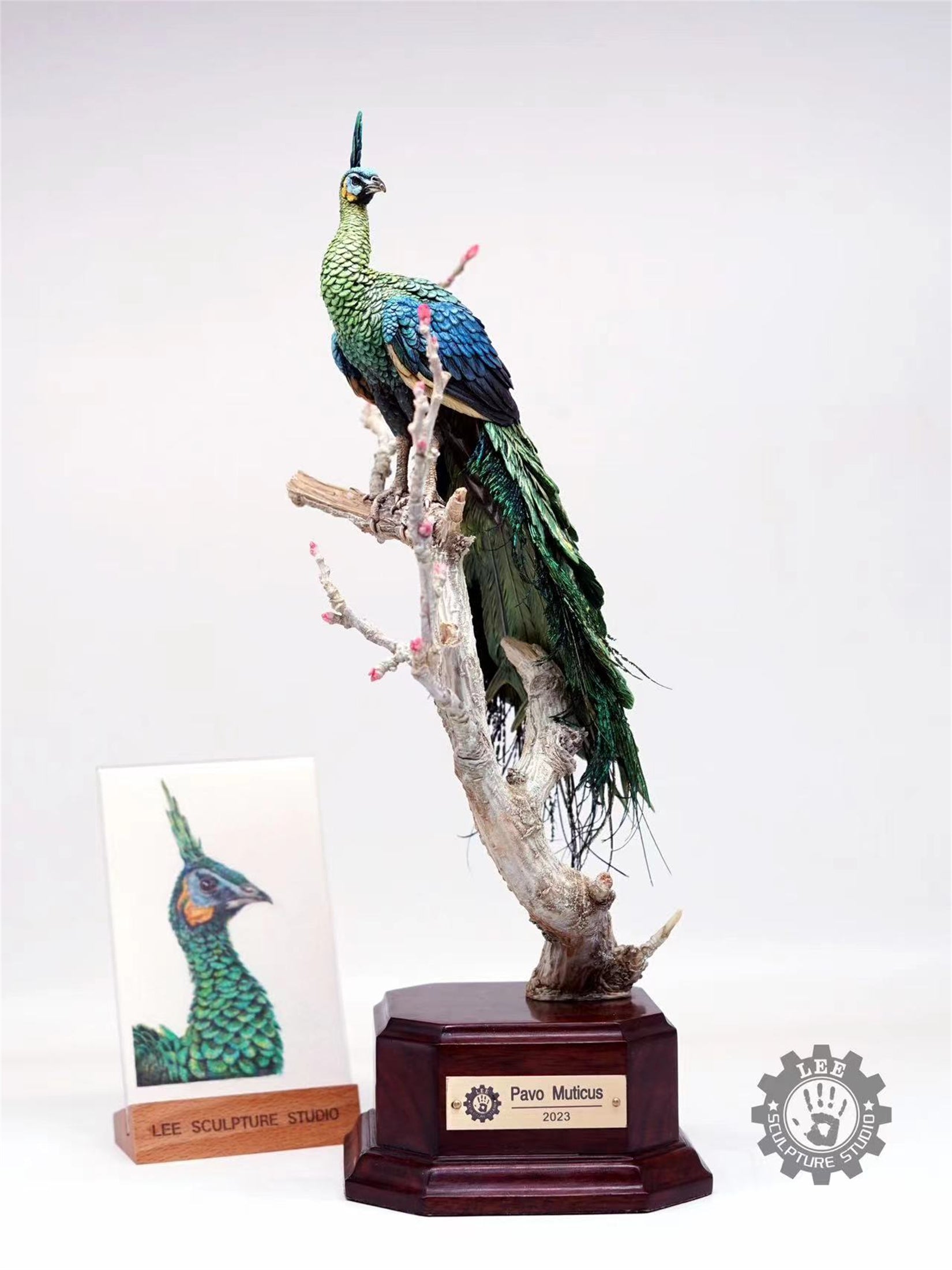 Lee 1/10 Scale Green Peafowl Scene Model