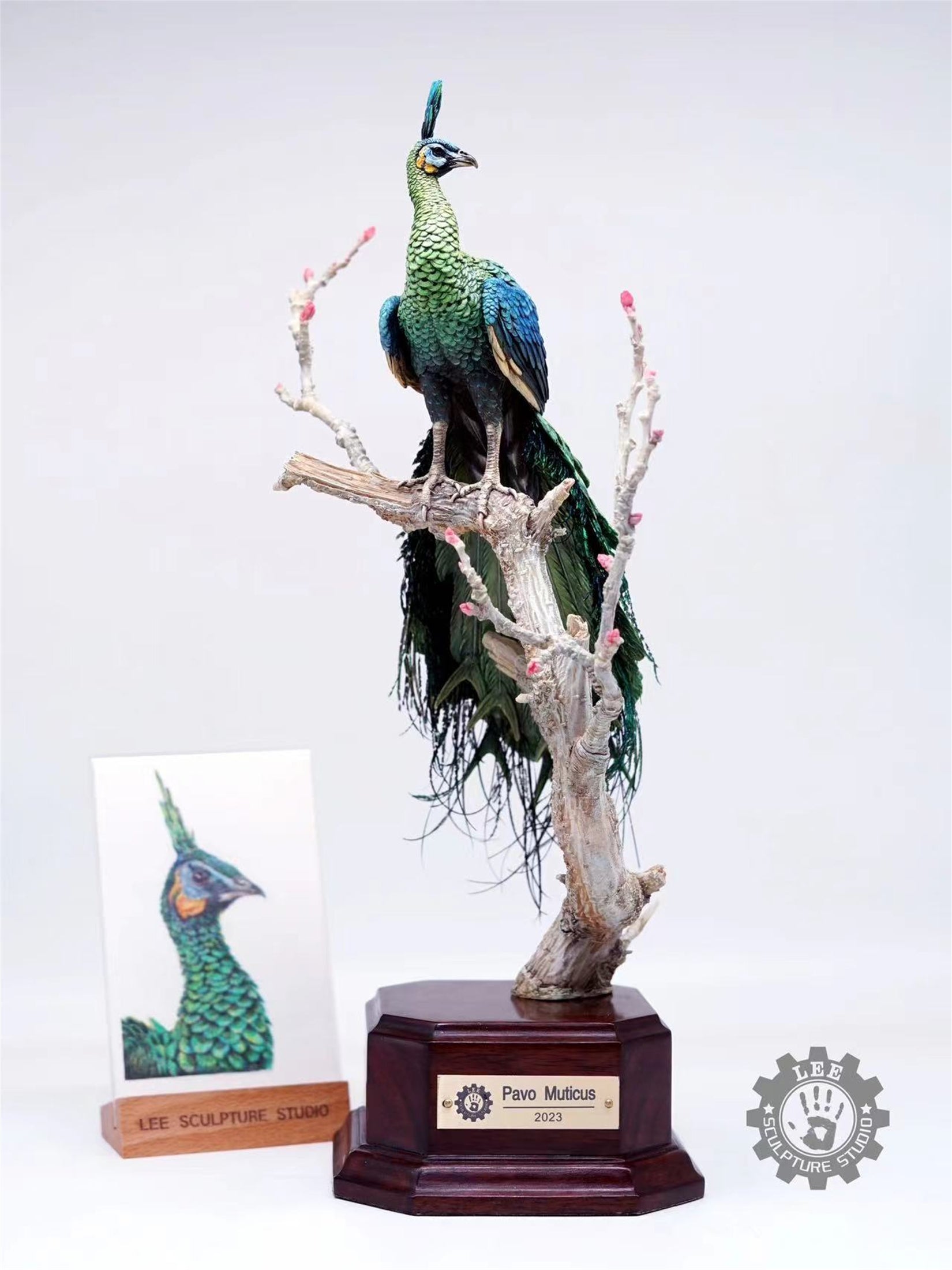Lee 1/10 Scale Green Peafowl Scene Model