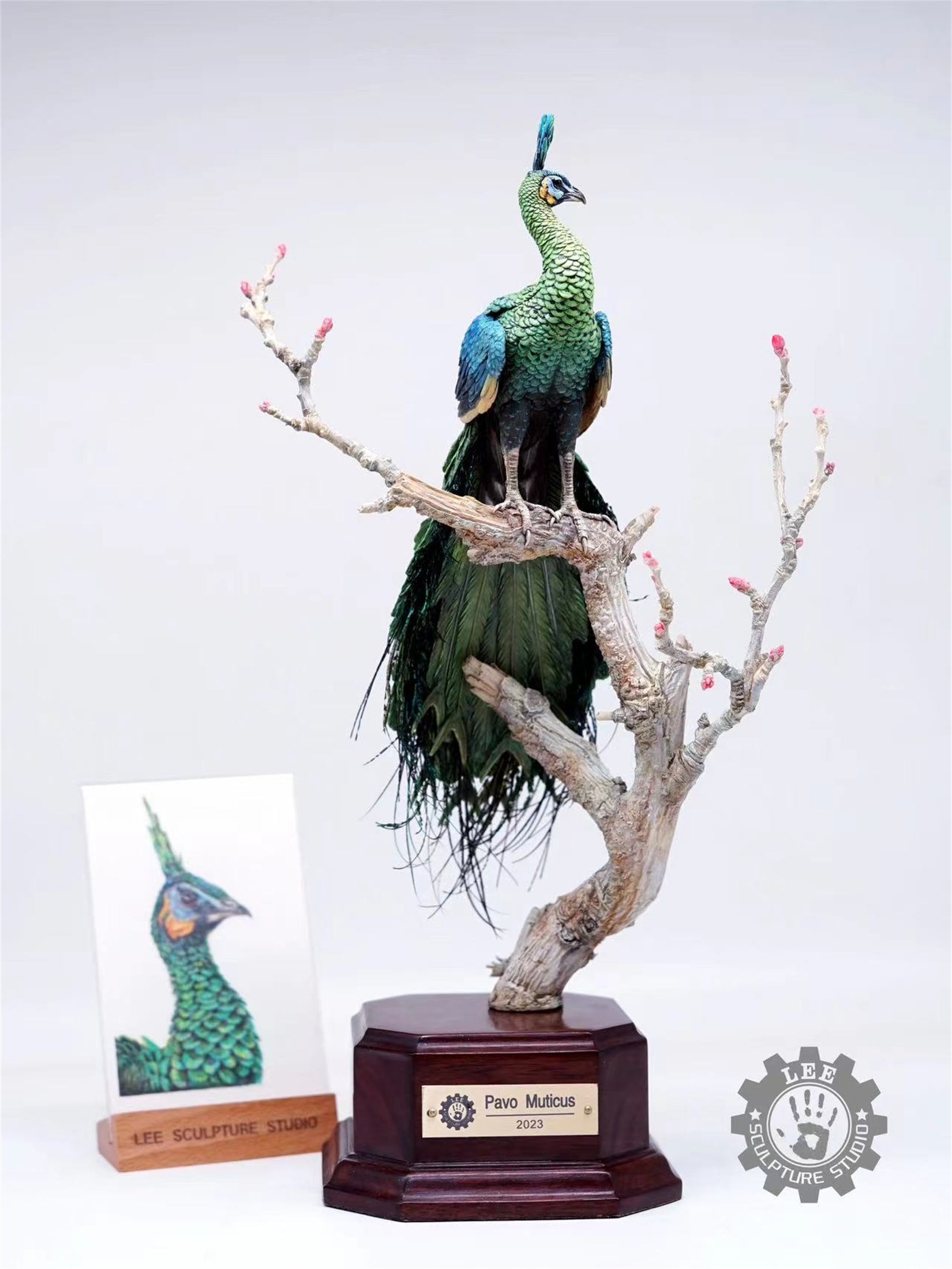 Lee 1/10 Scale Green Peafowl Scene Model