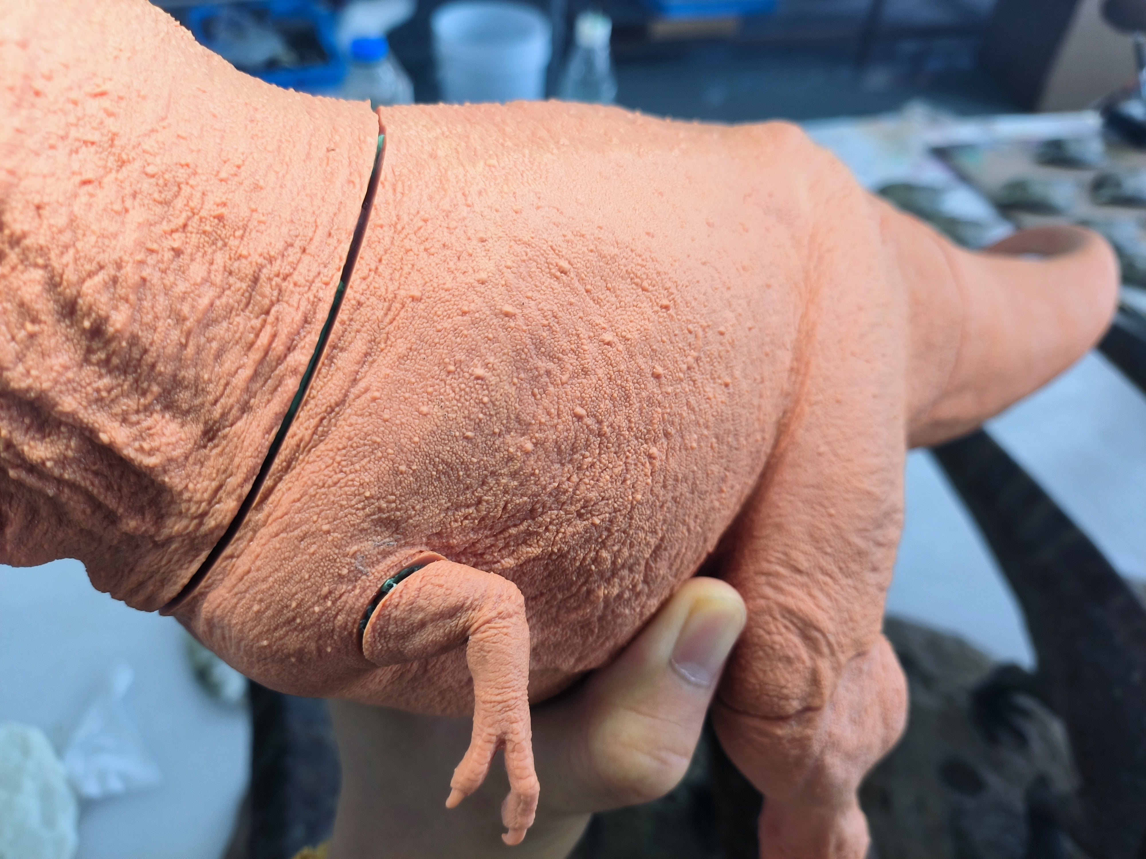 SHOWANNA 1:18 Scale Tyrannosaurus Rex VS Ankylosaurus SCENE STATUE