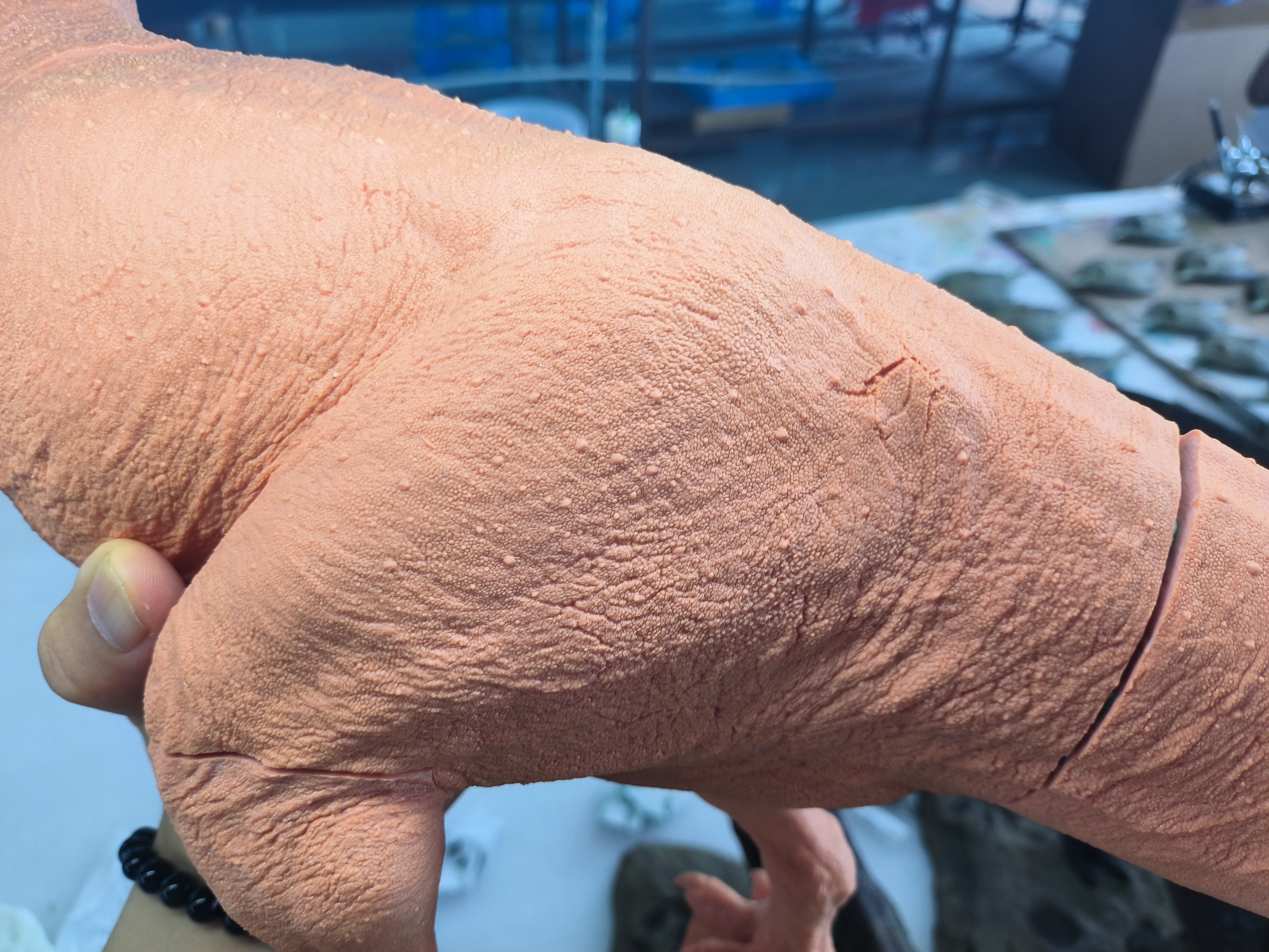 SHOWANNA 1:18 Scale Tyrannosaurus Rex VS Ankylosaurus SCENE STATUE