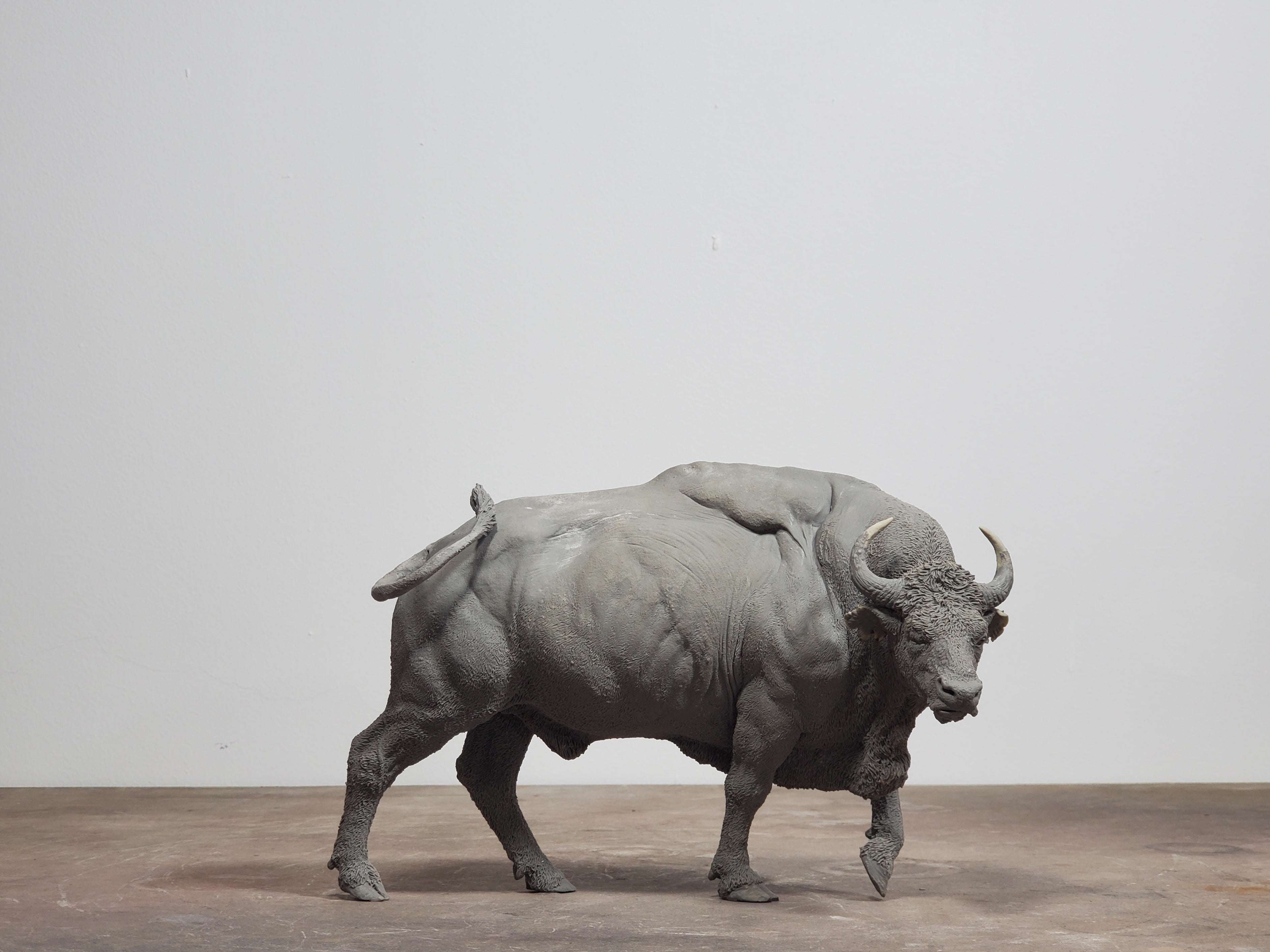 TUNAN 1/18 Scale Bos frontalis Gaur Model