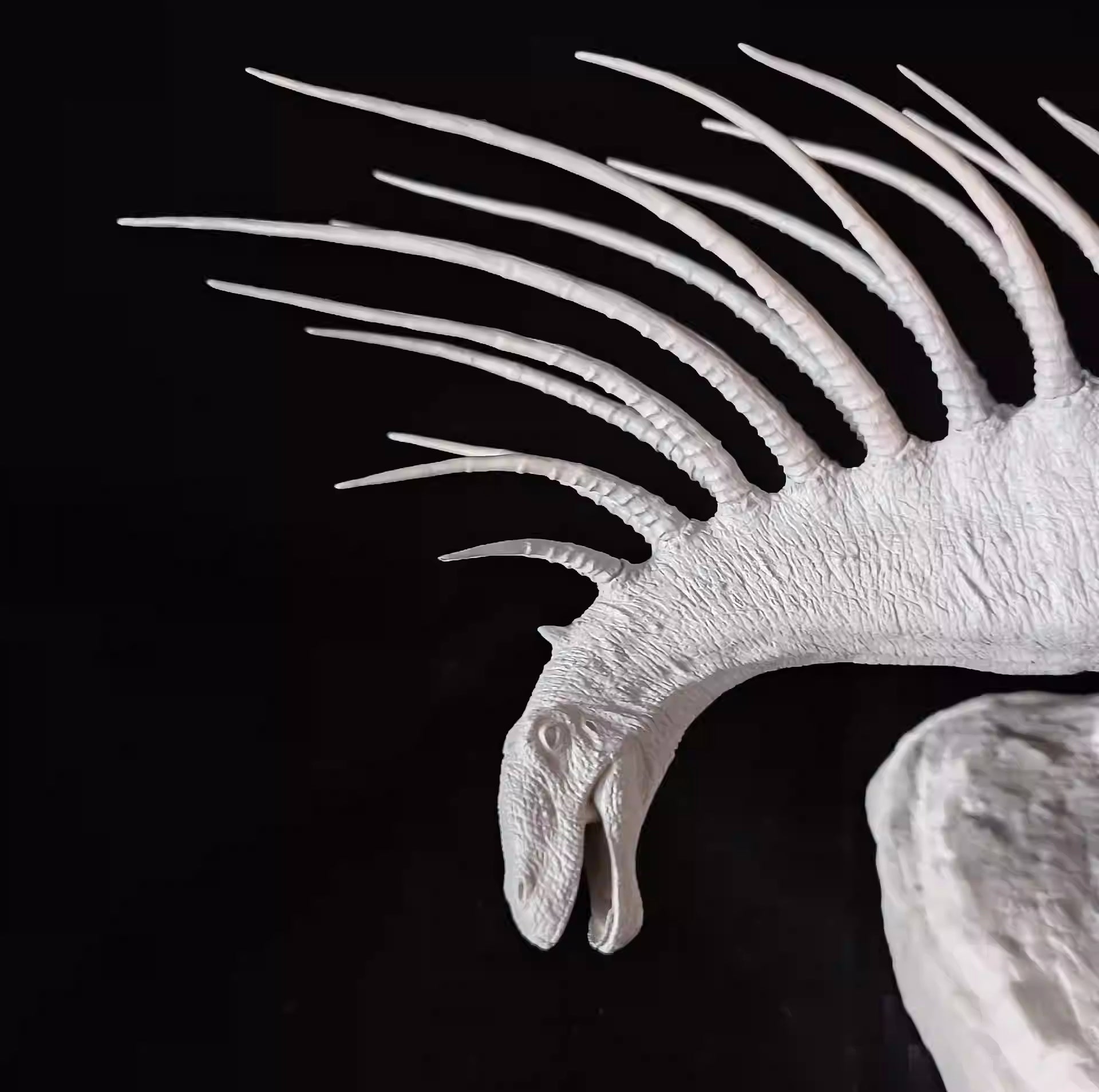 Tison Zhang 1/10 Scale Aucasaurus Pair VS Bajadasaurus Scene Model Kit