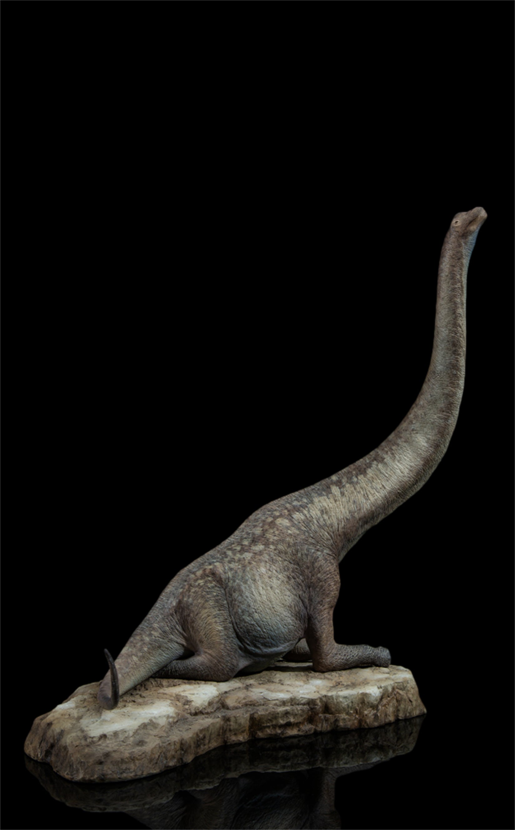 Tison Zhang 1/24 Scale Giraffatitan Scene Model