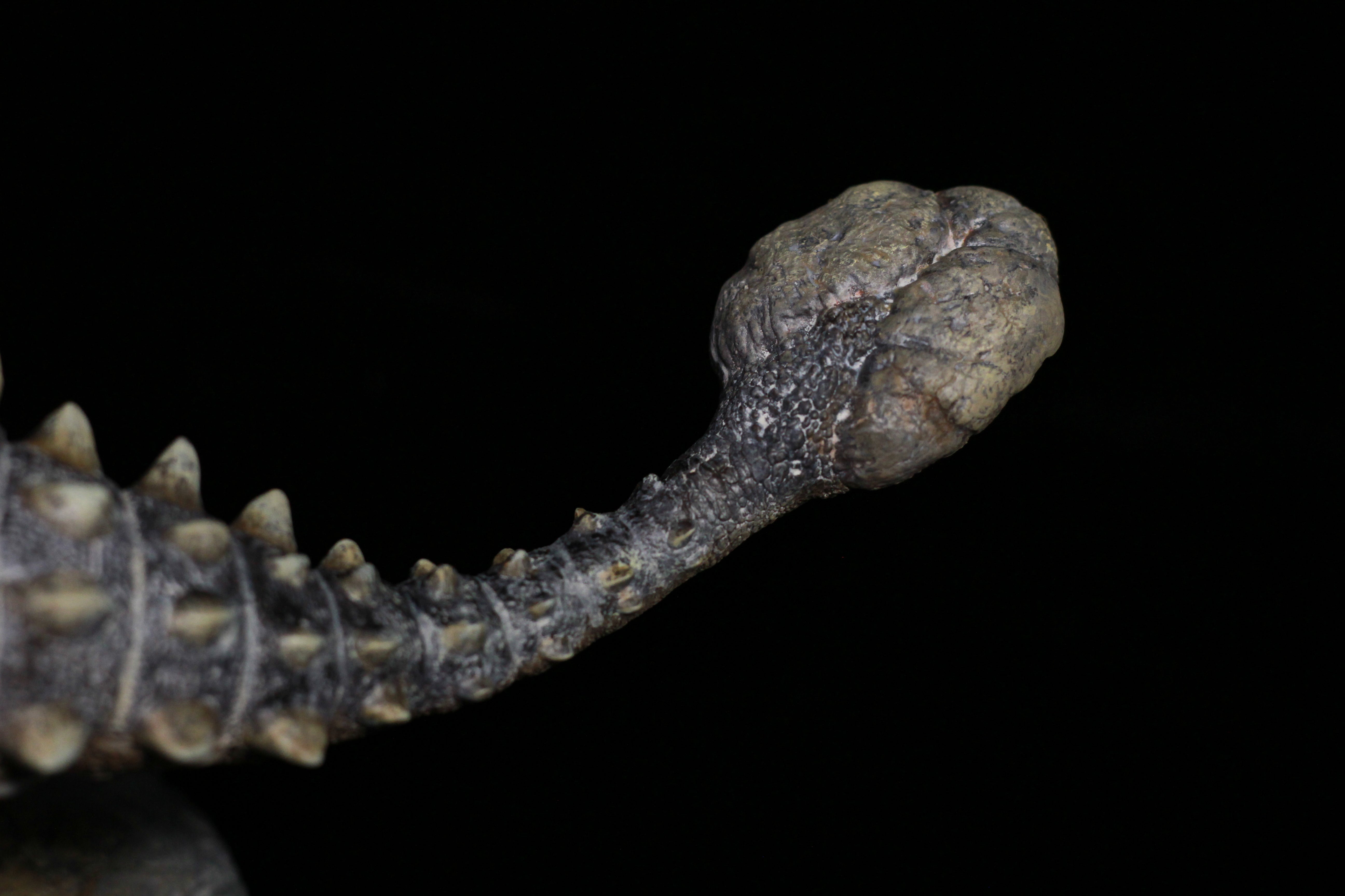 SHOWANNA 1:18 Scale Tyrannosaurus Rex VS Ankylosaurus SCENE STATUE