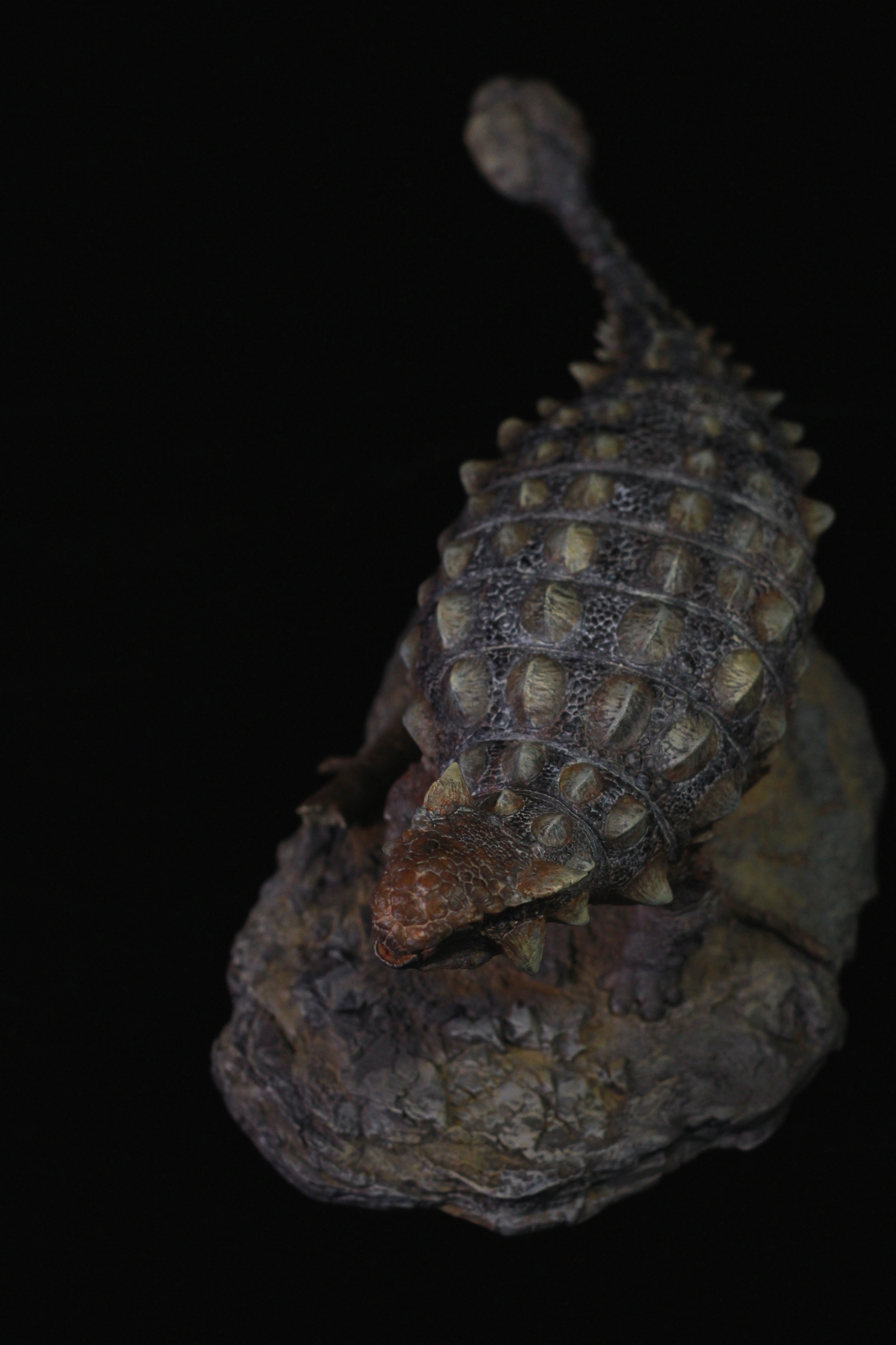 SHOWANNA 1:18 Scale Tyrannosaurus Rex VS Ankylosaurus SCENE STATUE