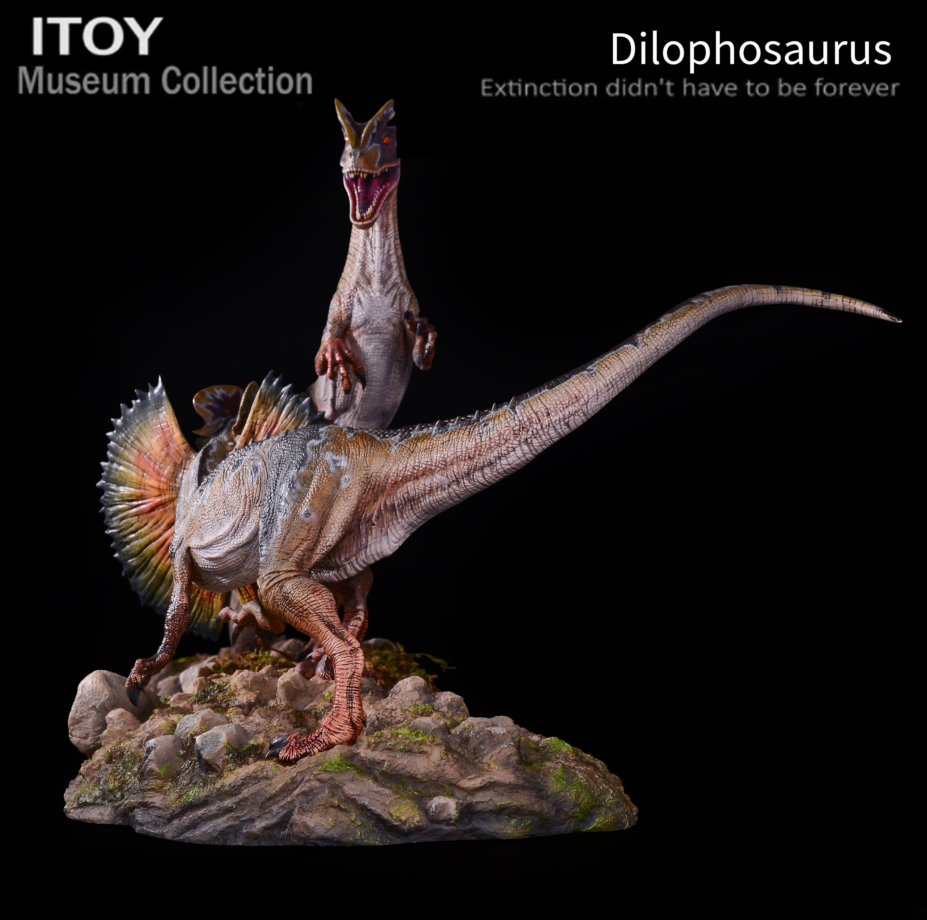 ITOY Museum Collection 1/15 Scale Dilophosaurus Fighting Model